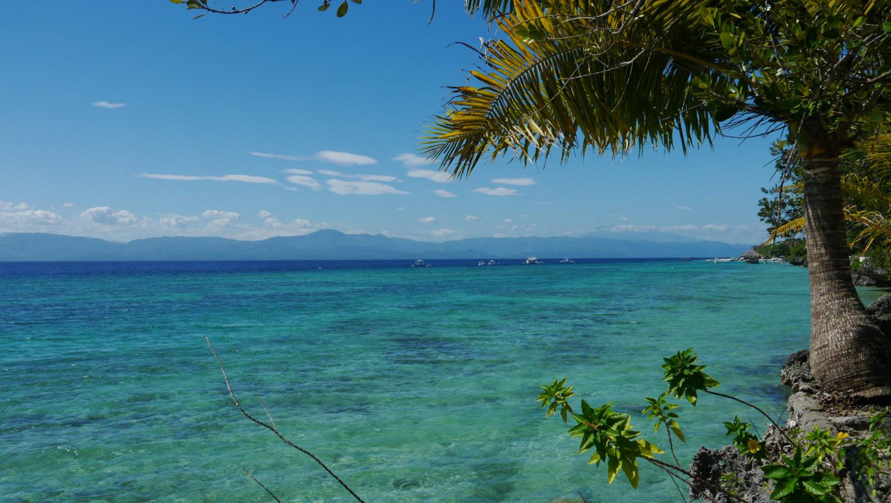 Moalboal T Breeze Coastal Resort