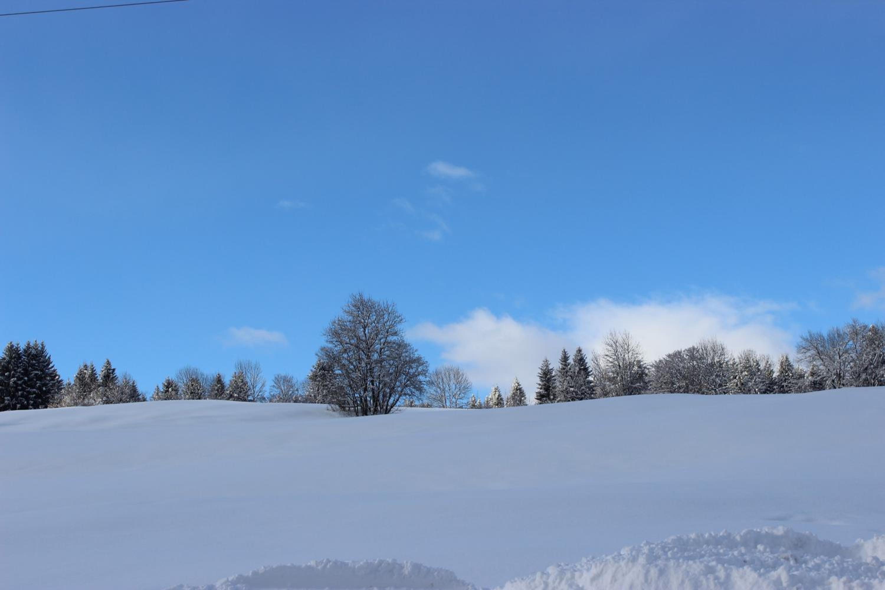Le Chalet d'Ulysse view 5