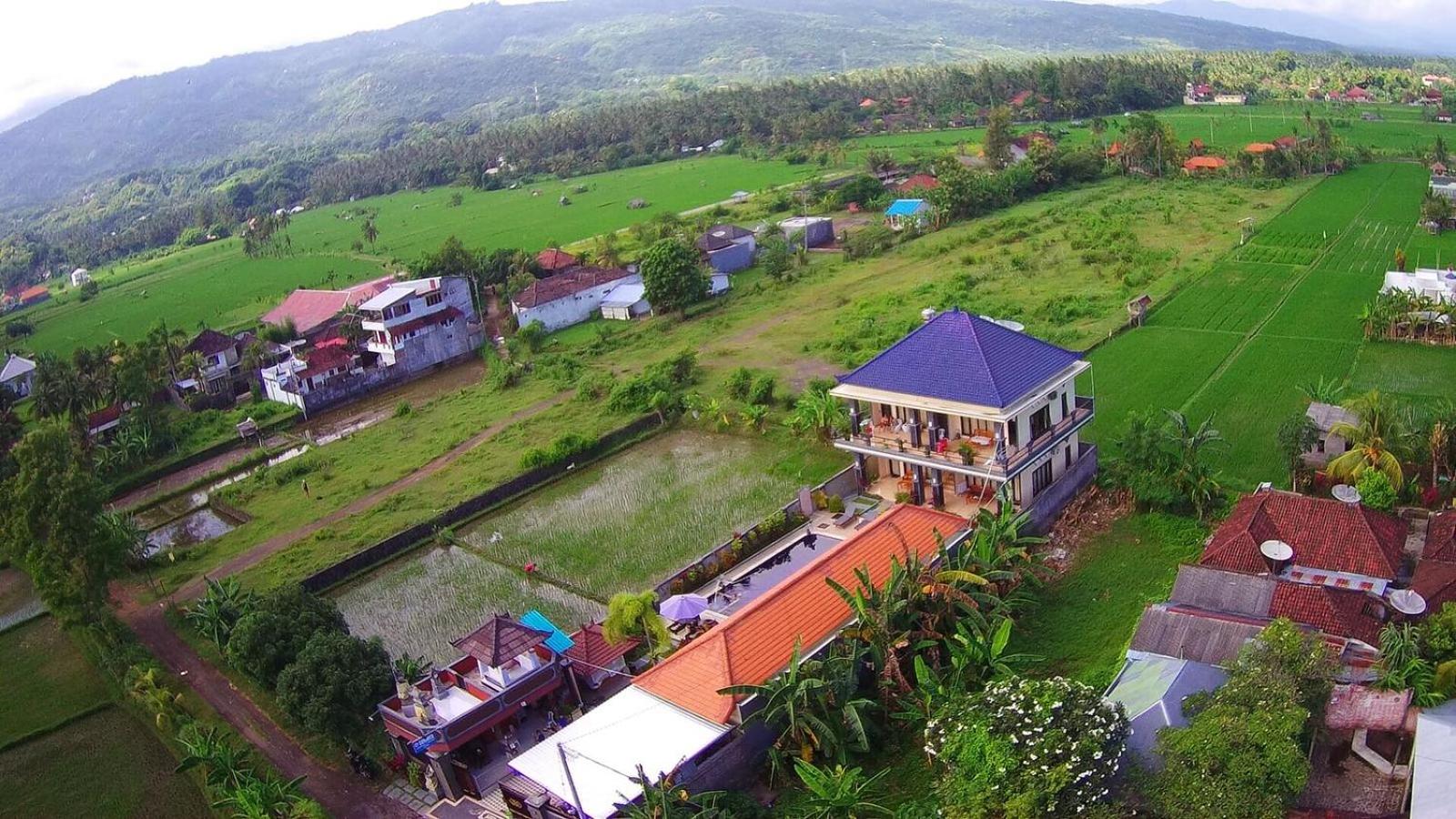Summer Guesthouse Lovina