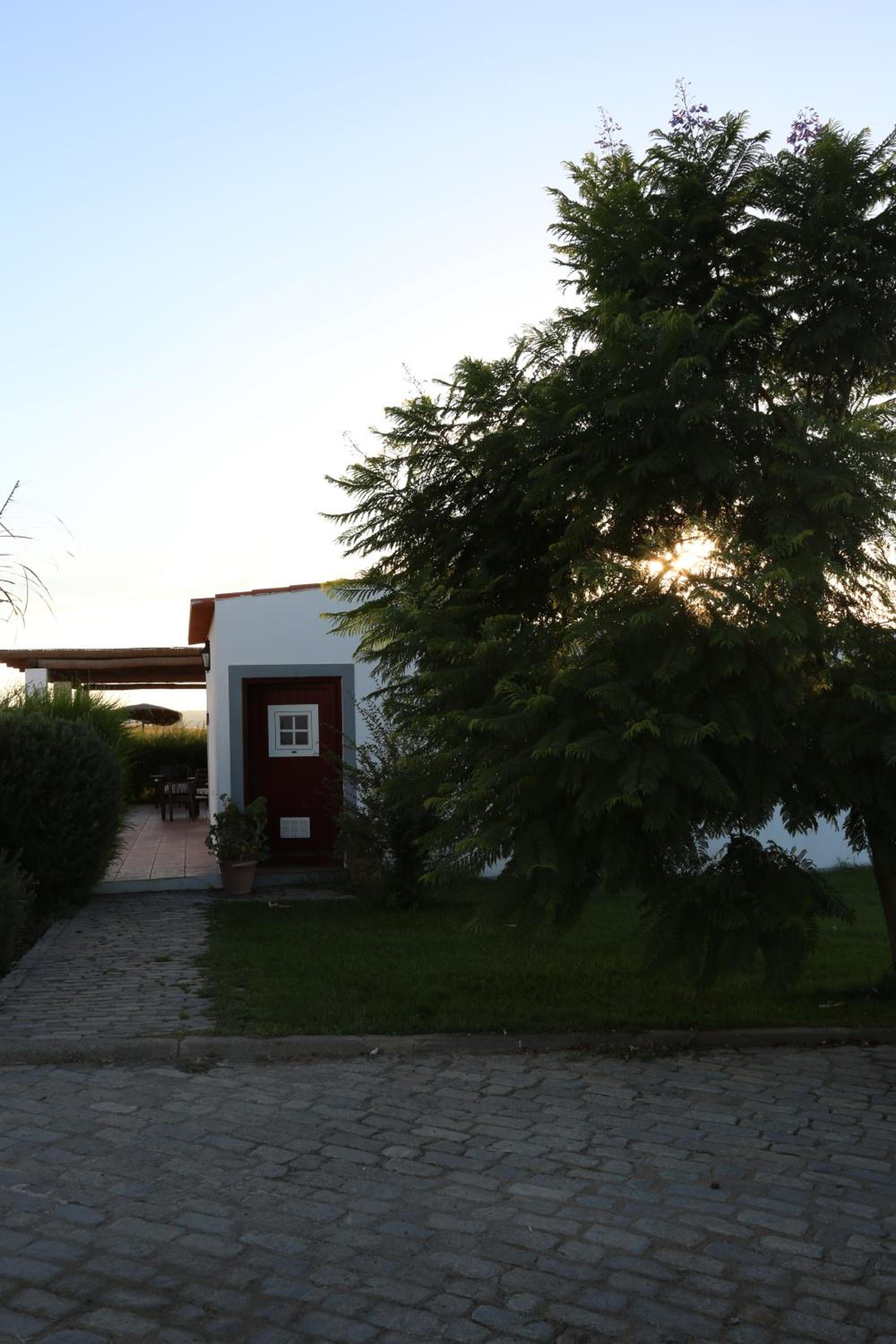 Photo 46