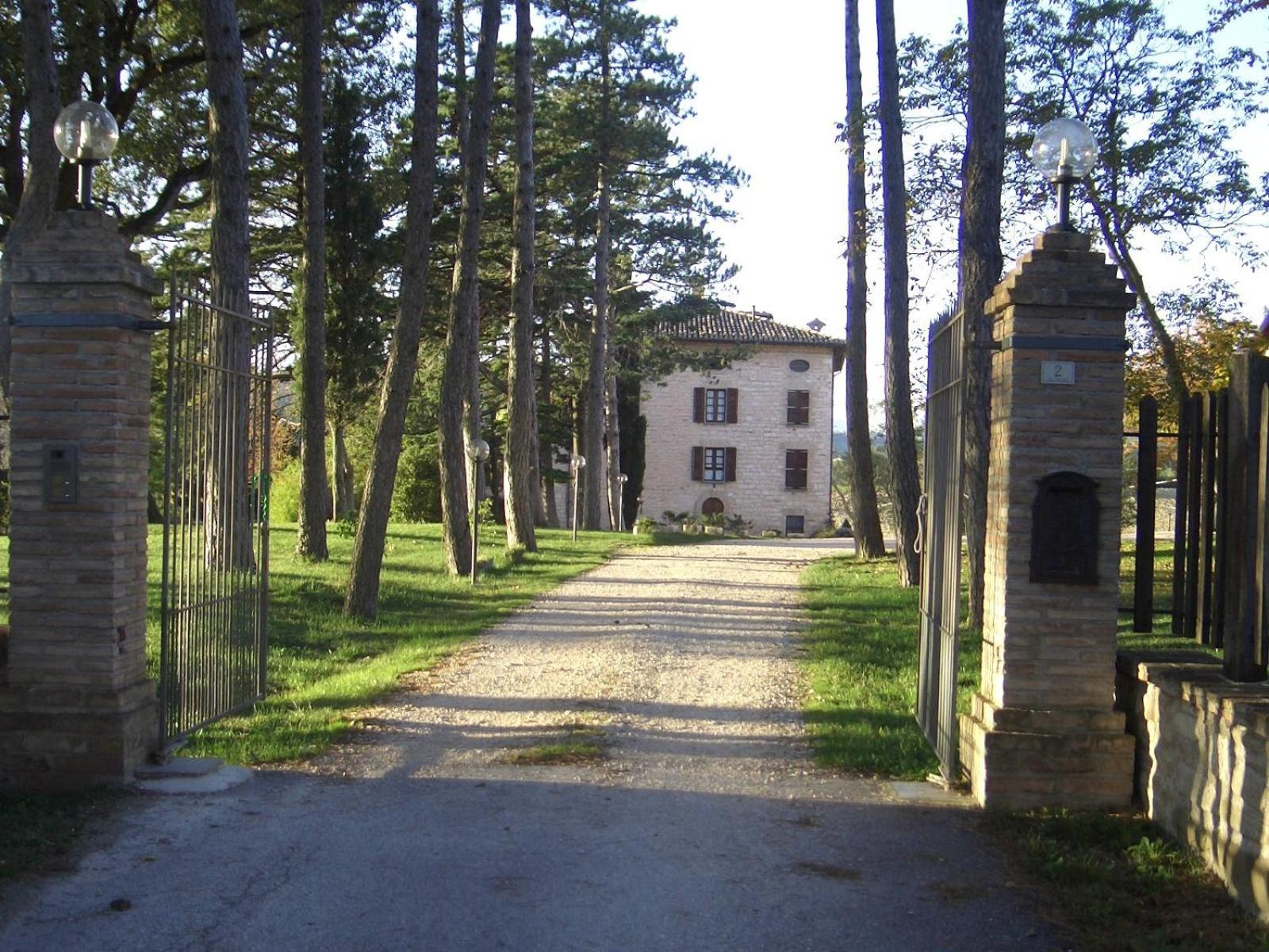 Villa Pascolo view 4