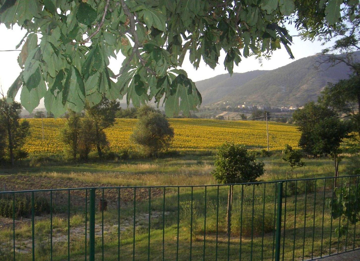 Villa Pascolo view 5