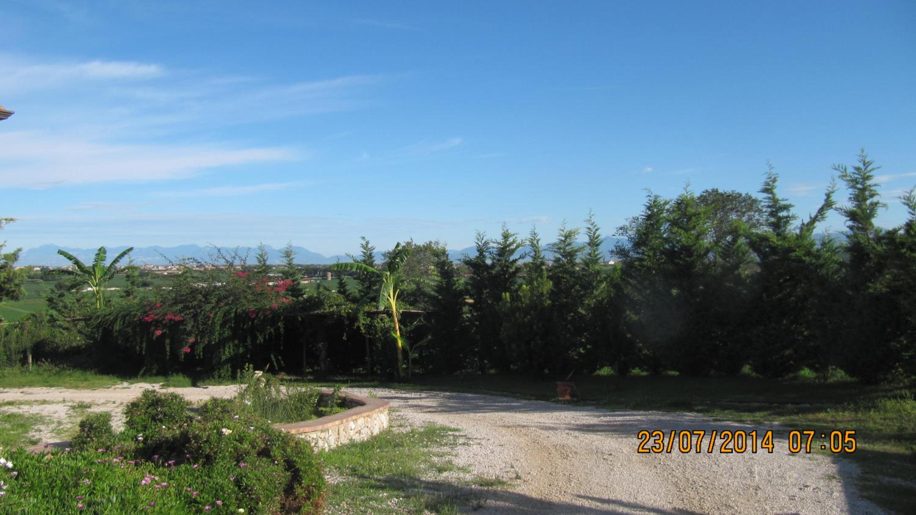 B&B Macchia d'Olmo