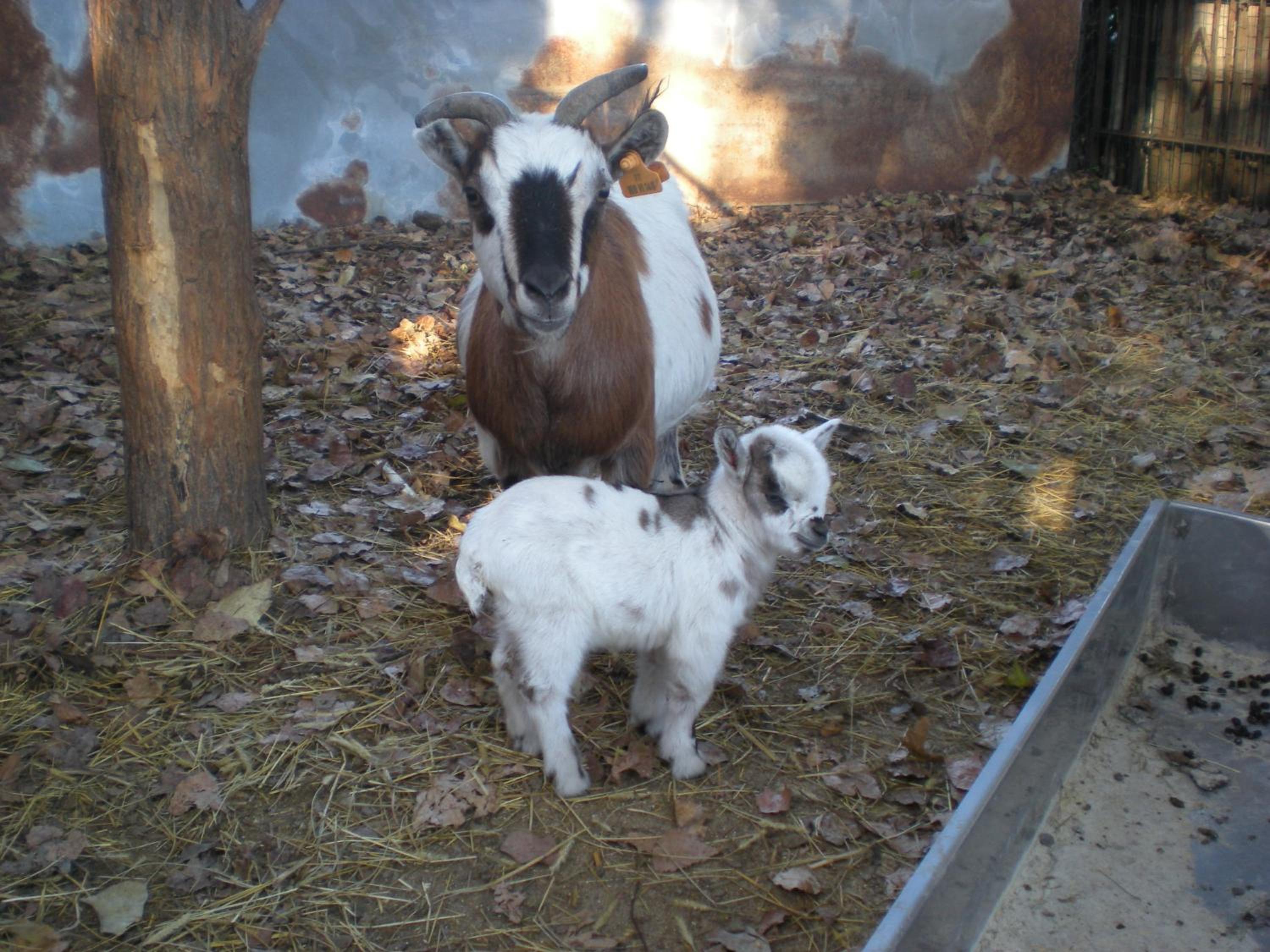 Agriturismo Ae Noseare