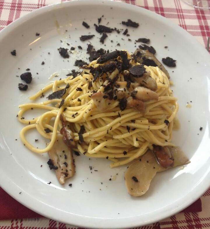 Ginepro d'Abruzzo