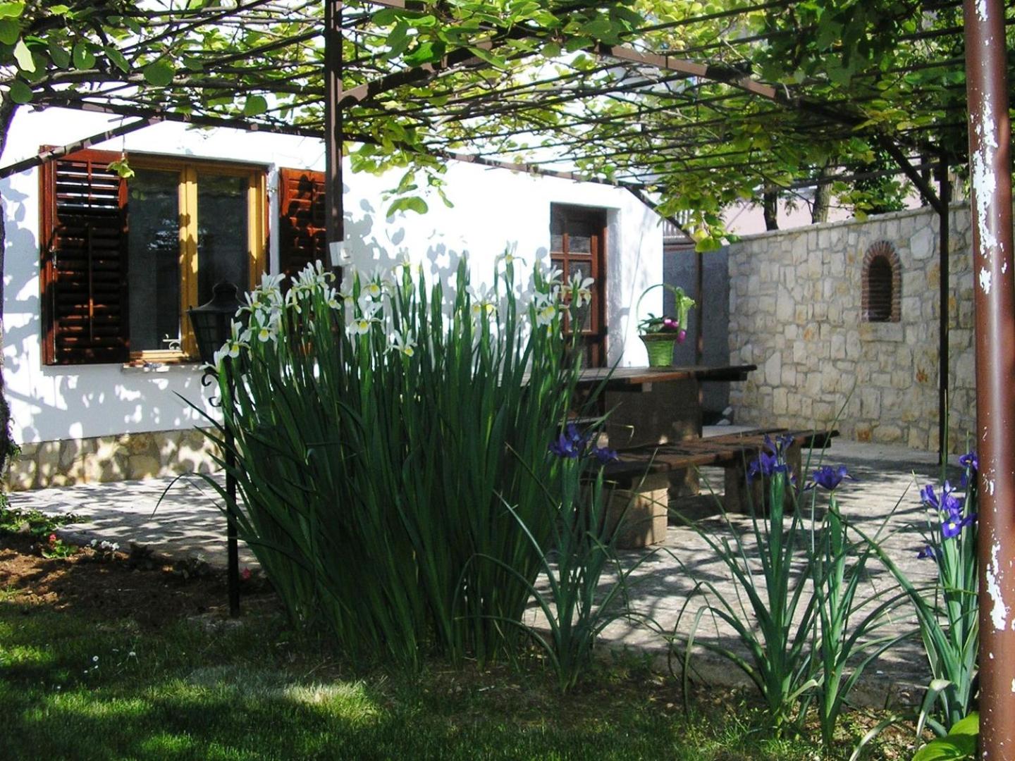Photo 13