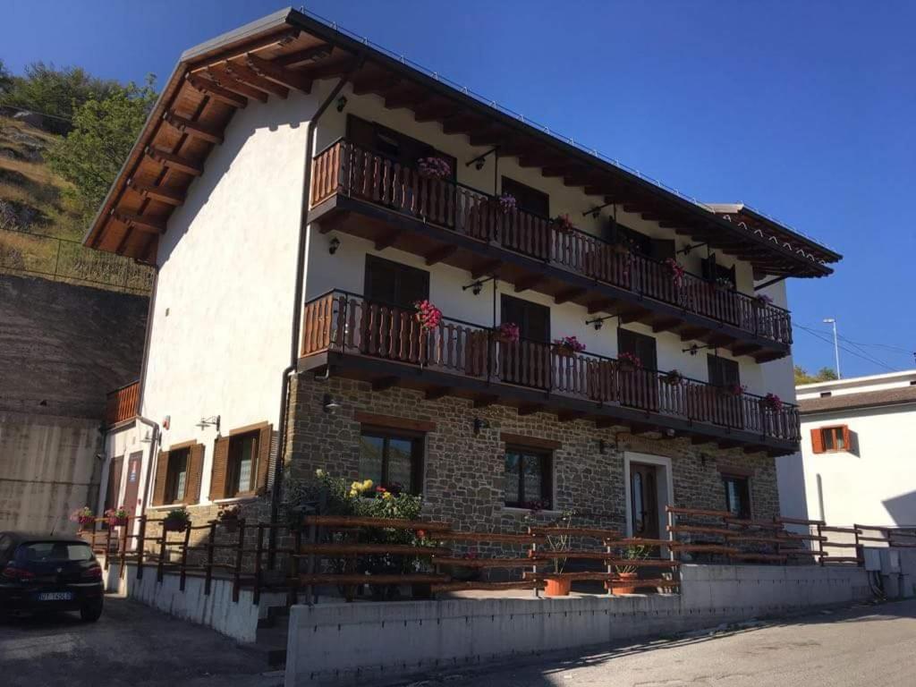 Ginepro d'Abruzzo