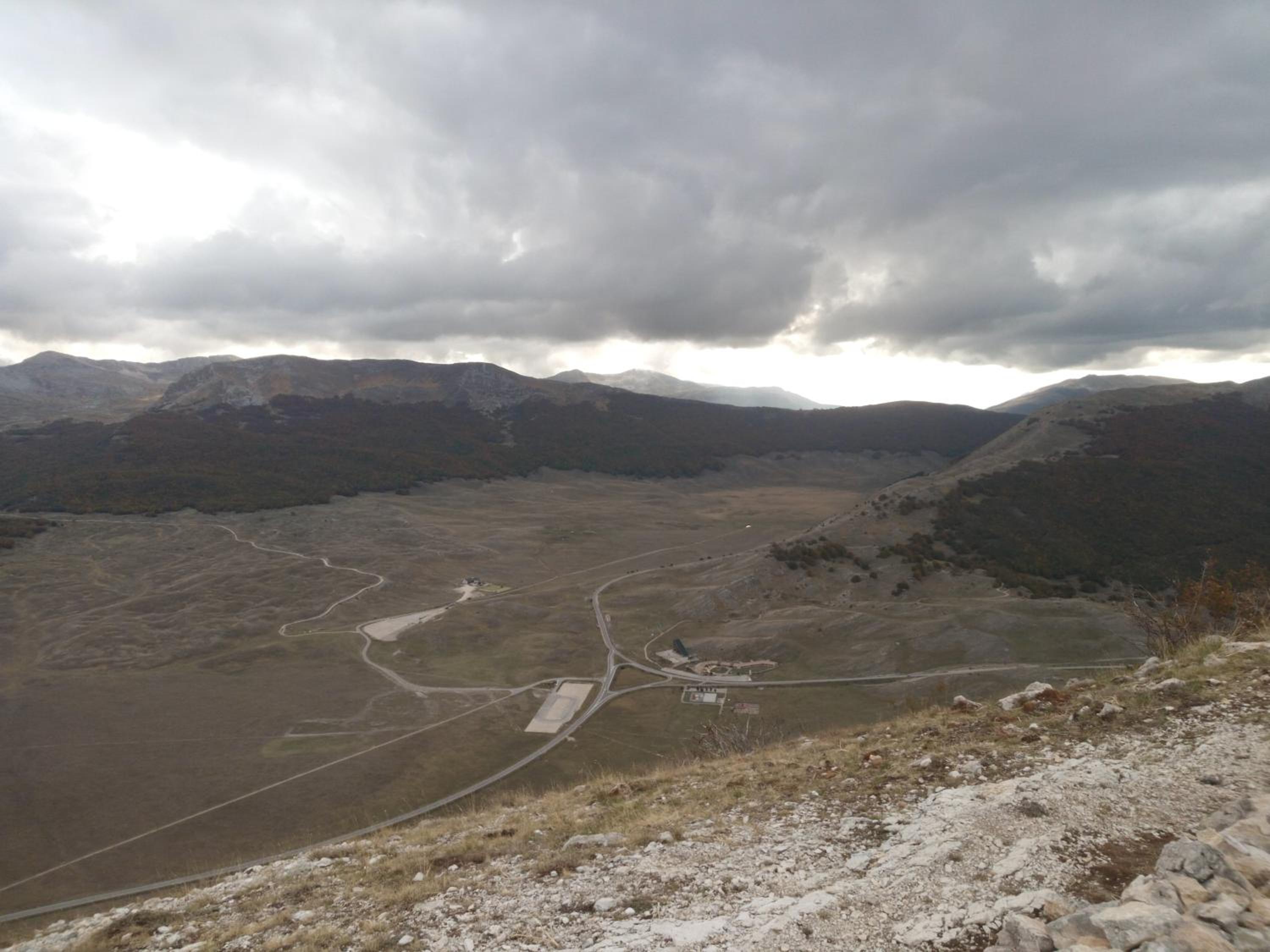 Ginepro d'Abruzzo