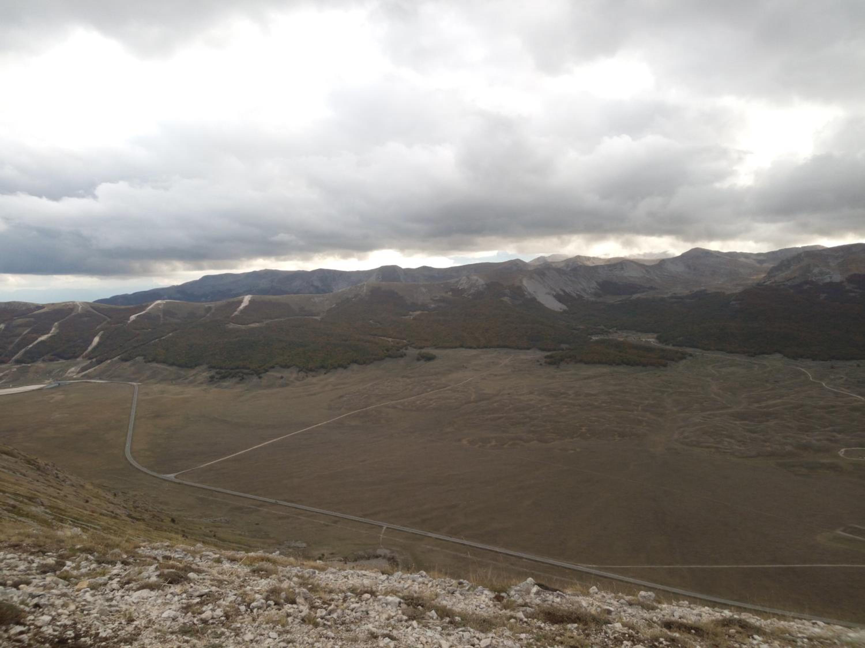 Ginepro d'Abruzzo