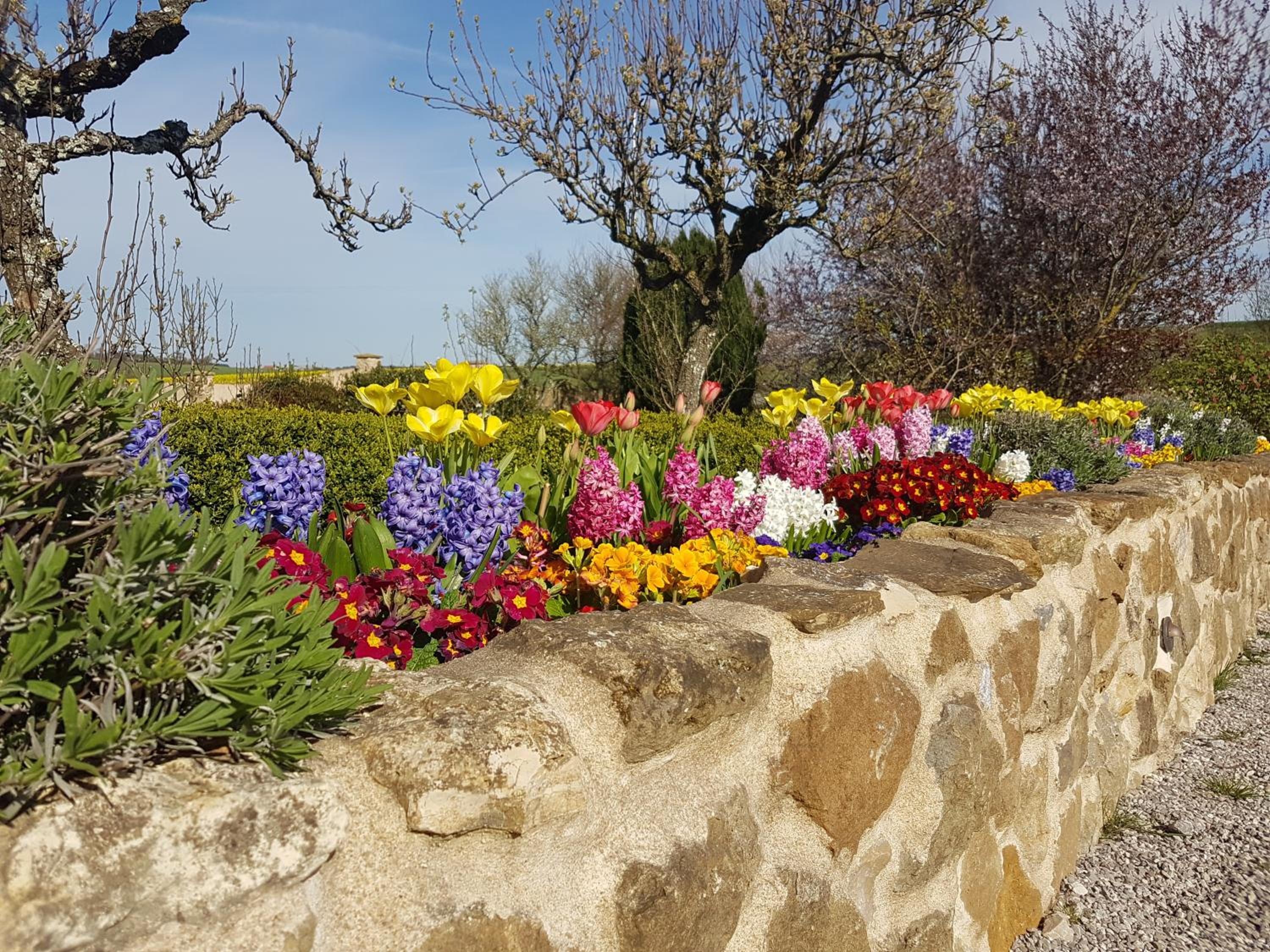 Le clos de Tournes, photo 43