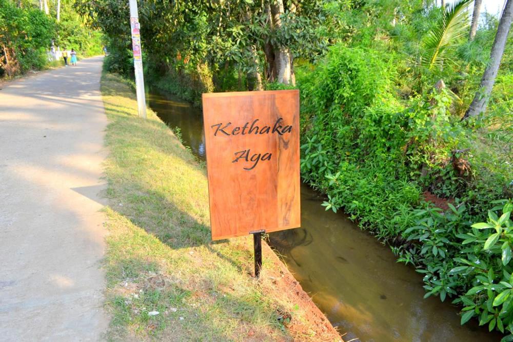 Kethaka Aga