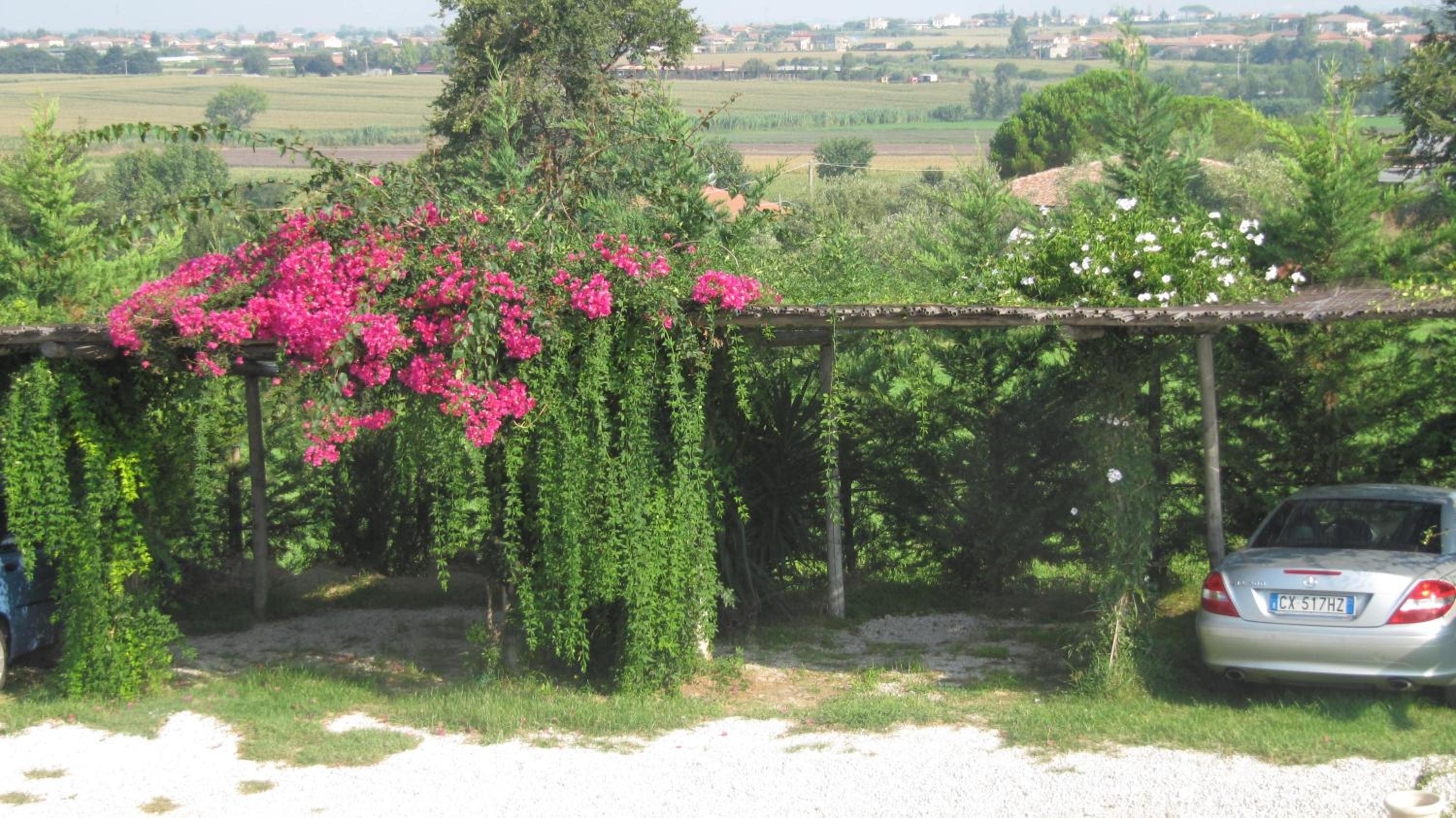 B&B Macchia d'Olmo