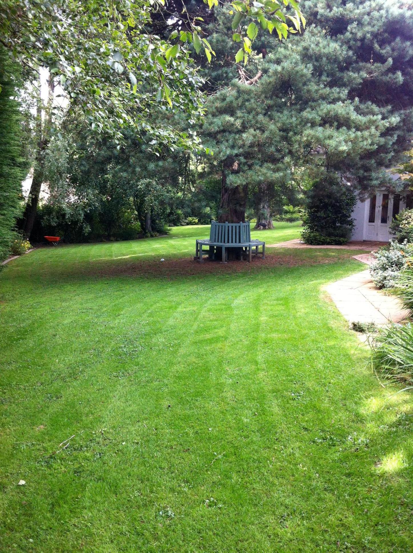 Photo 14