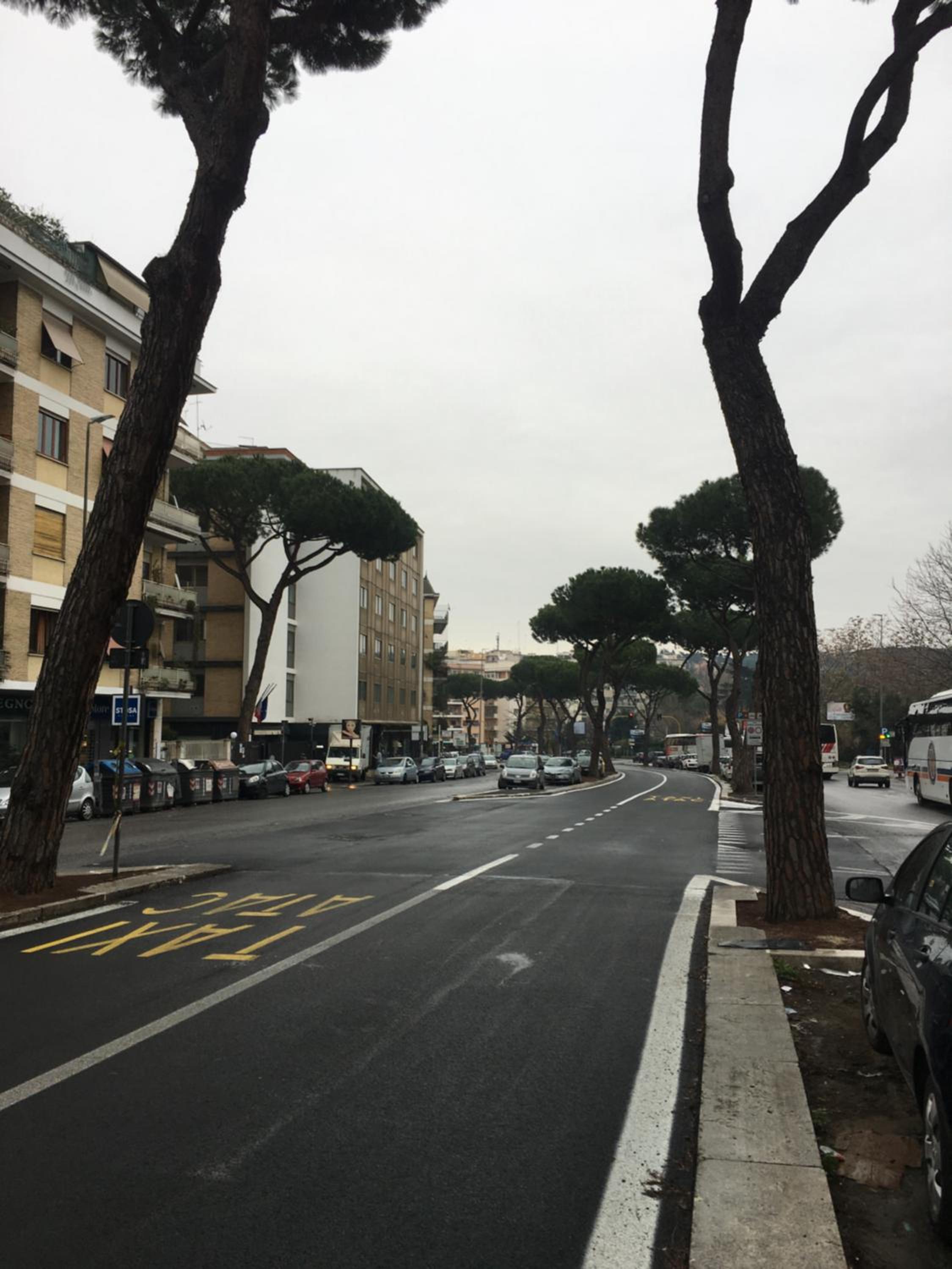 Domum Vaticani