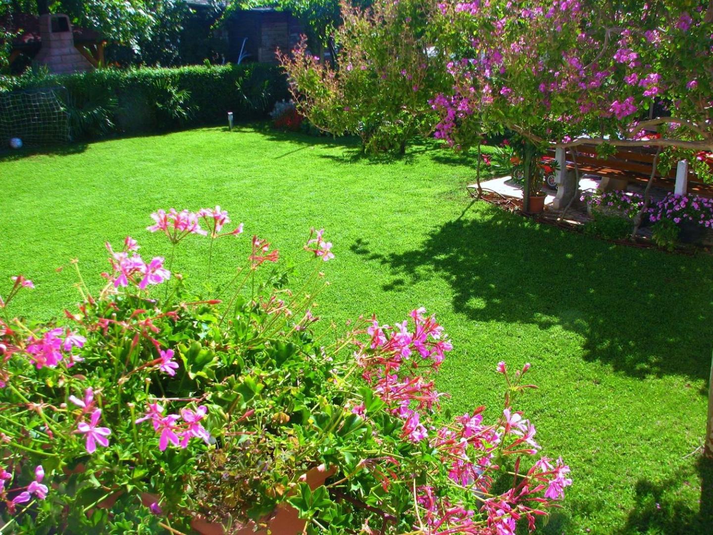 Apartments Sandra - Property Image 8