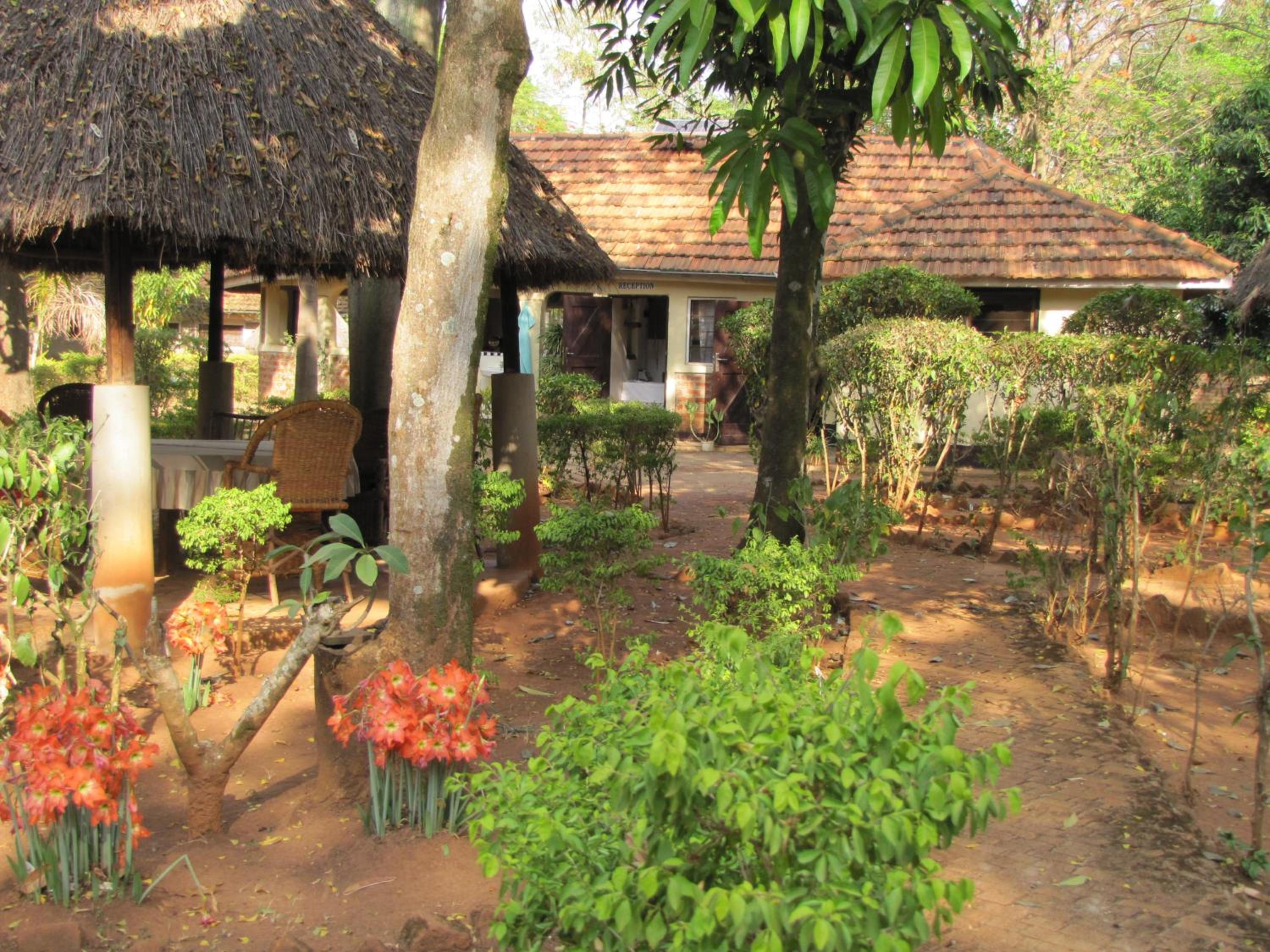 Photo 20