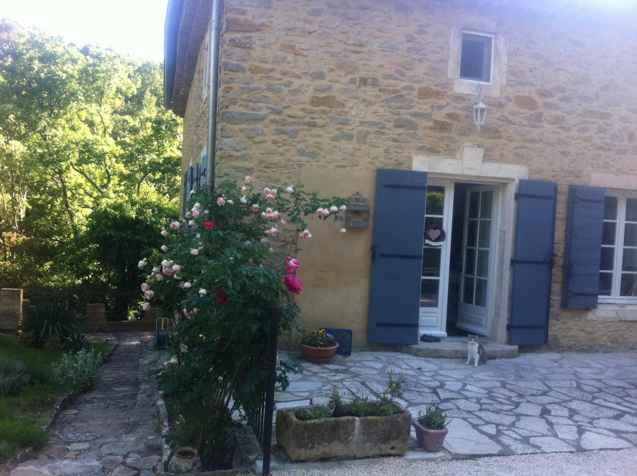 Photo 7
