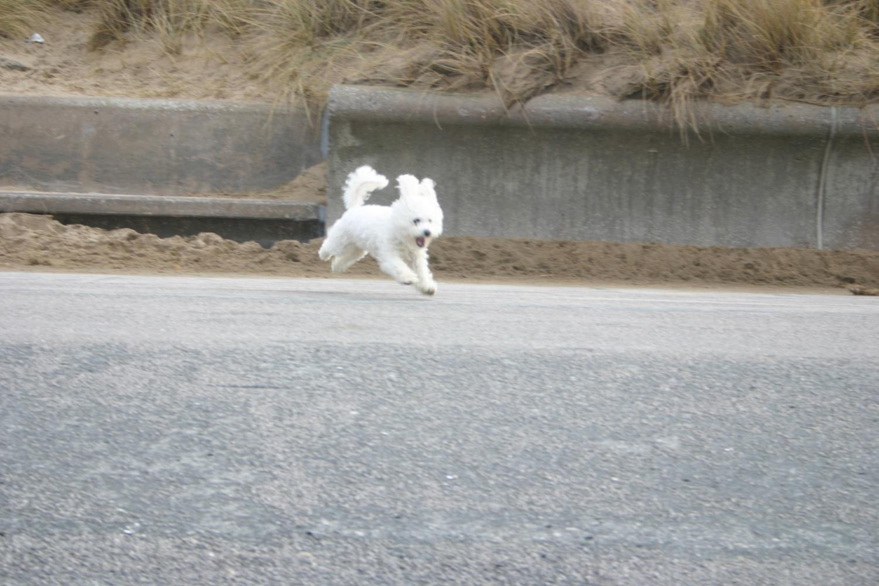 Photo 30