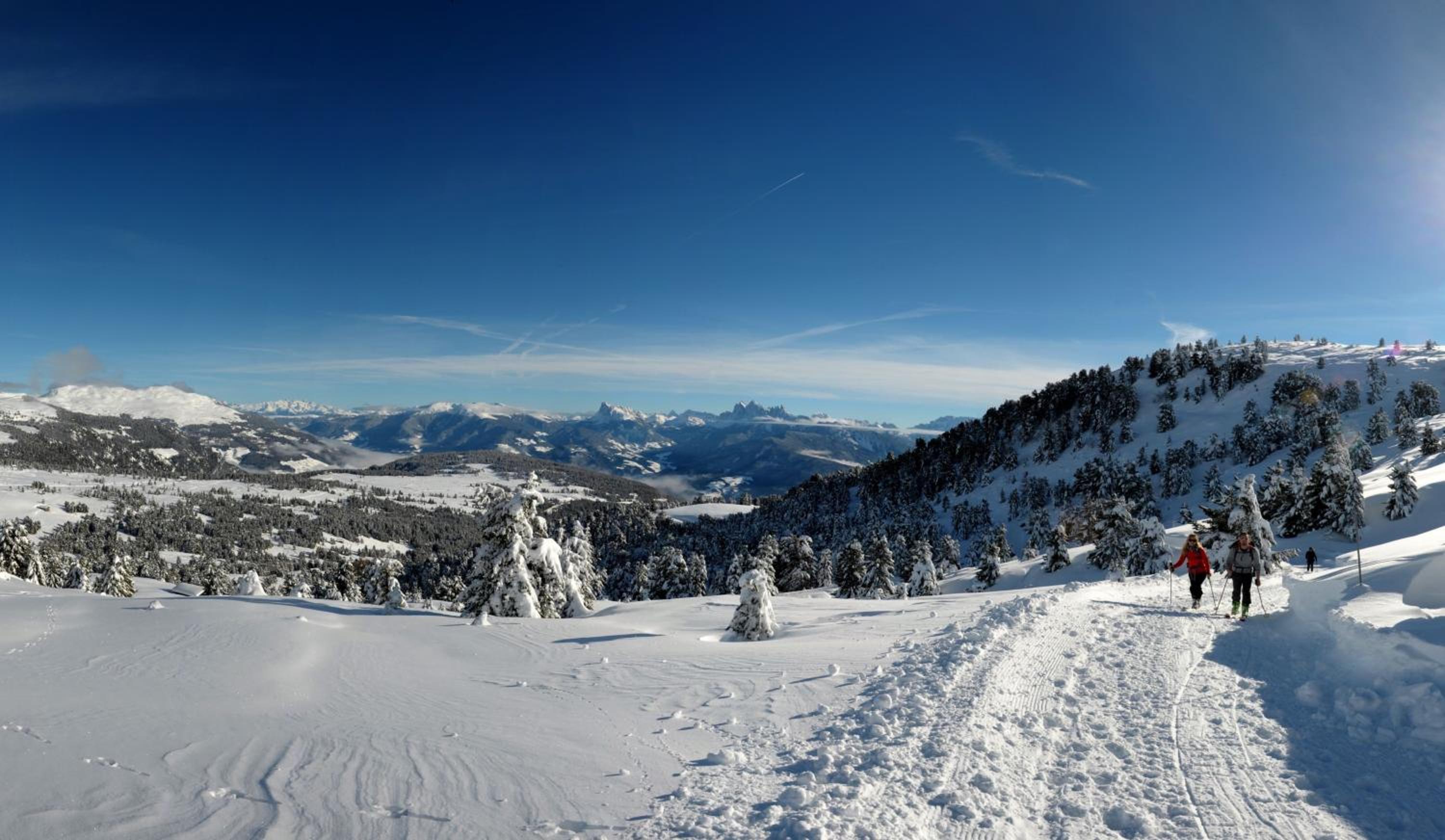 Finggeneislerhof view 5