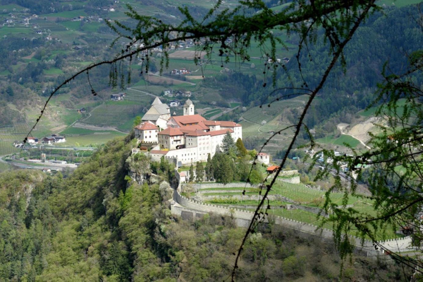 Photo 17
