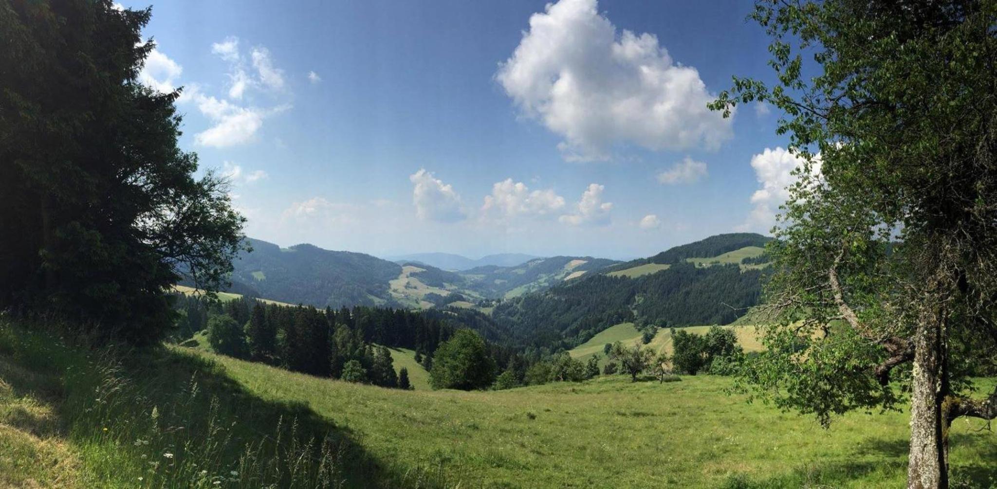 Gasthof Gutmann