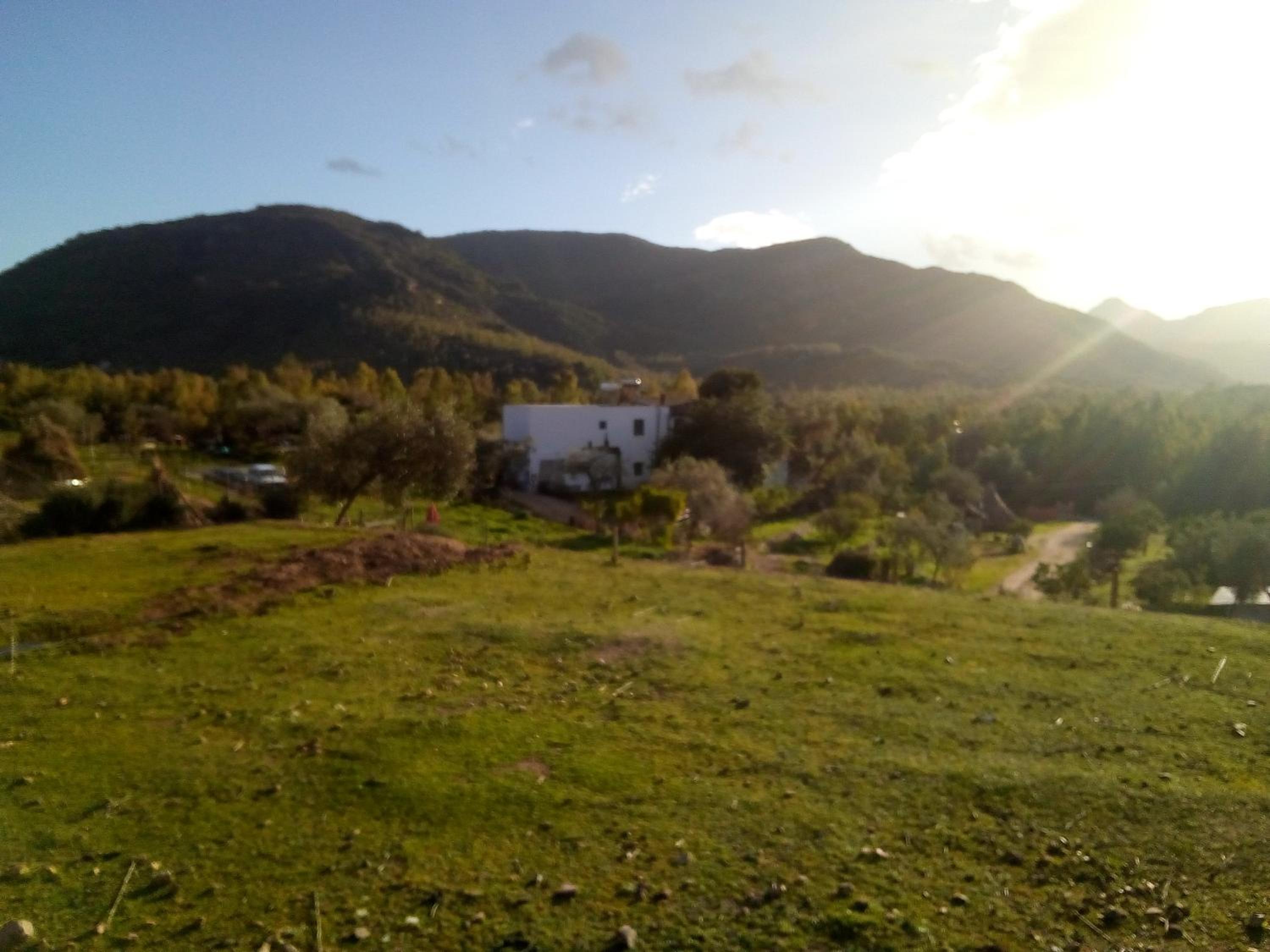 Photo 45