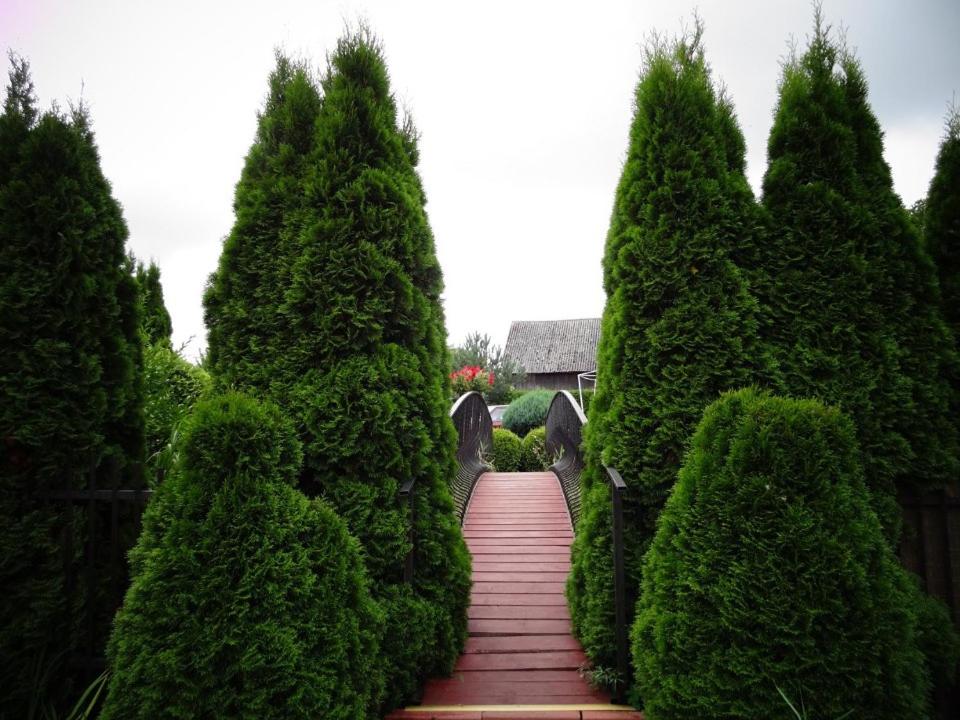 Photo 16