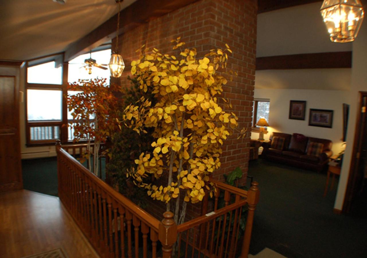 Photo 27
