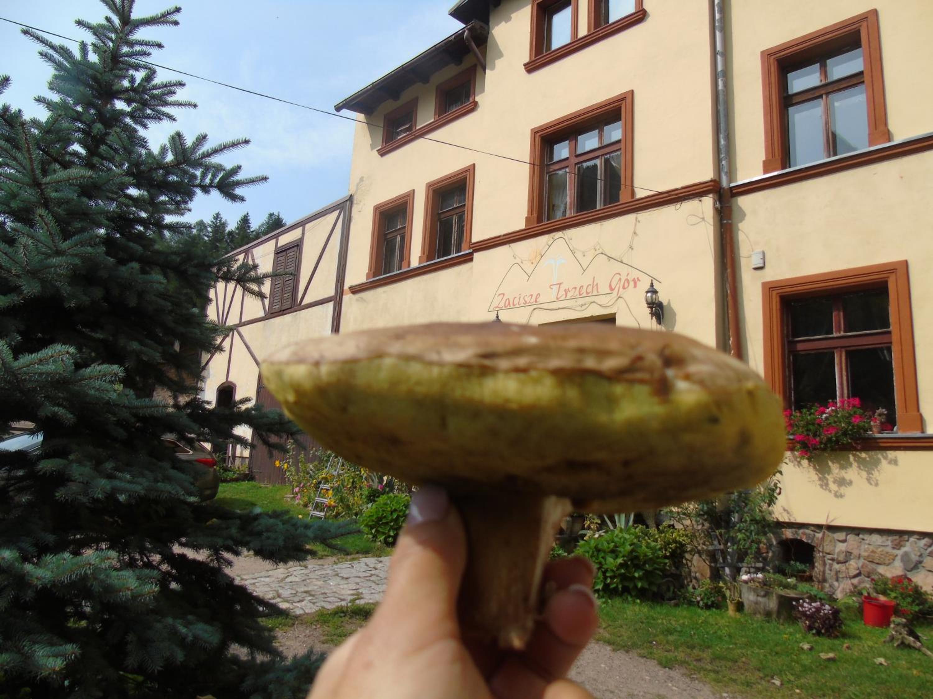 Photo 20