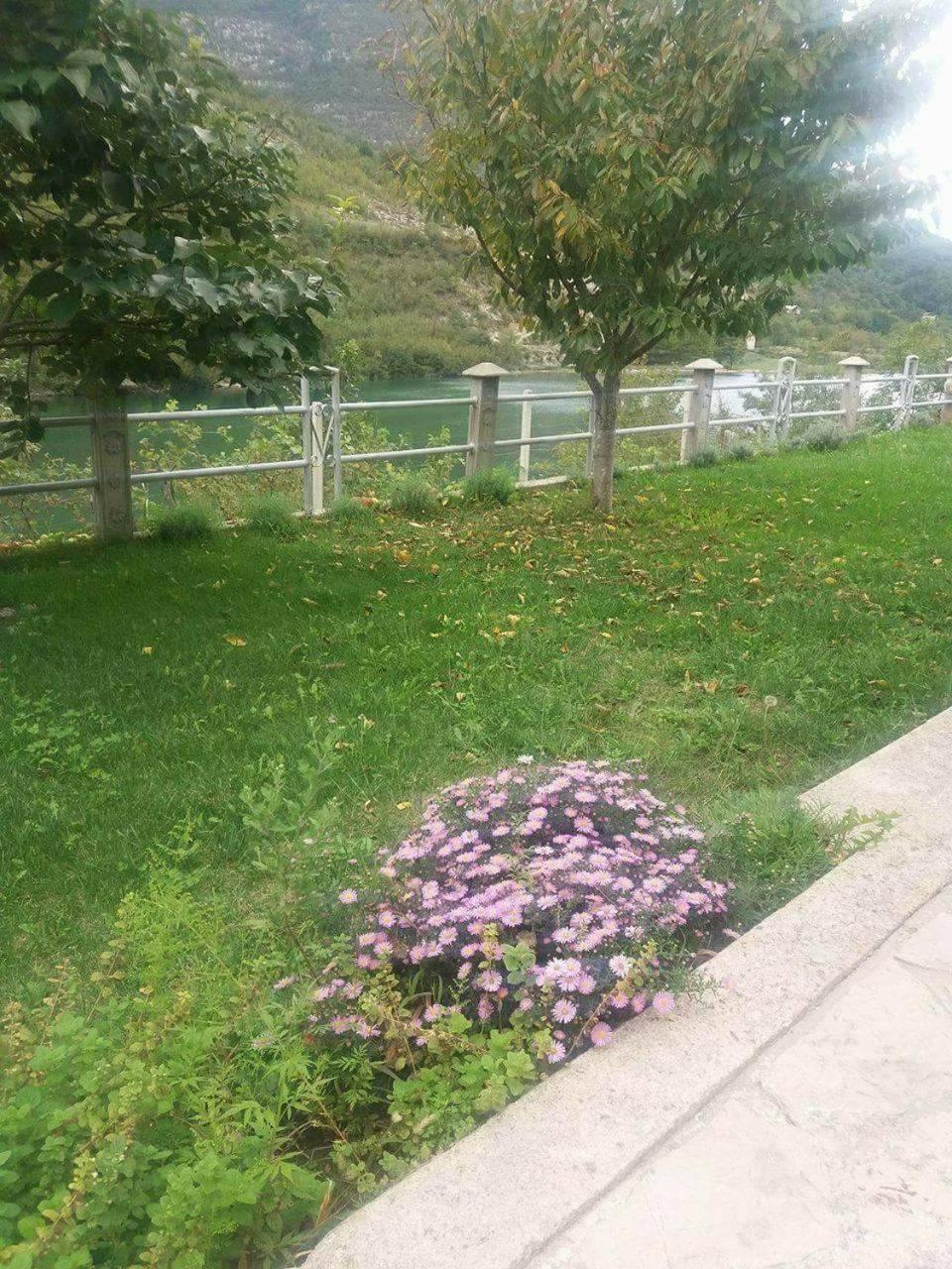 Kuća Lavanda