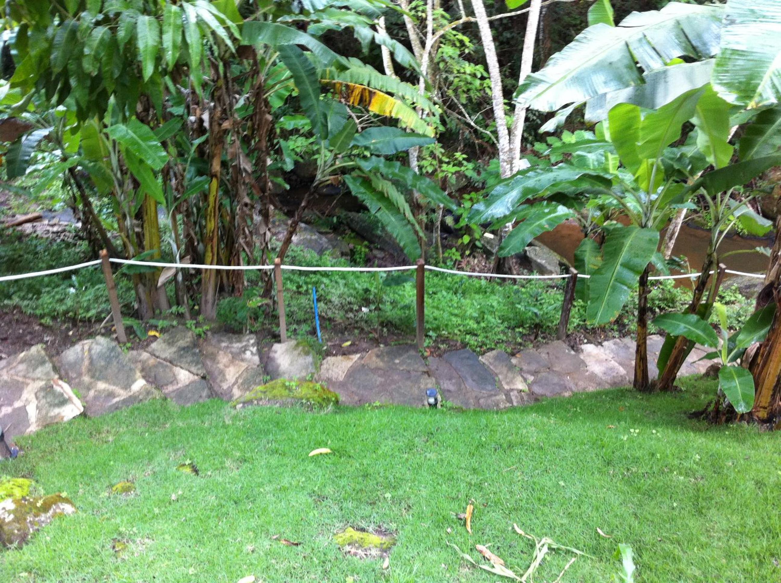 Sitio Alto da Montanha - você em paz com a natureza