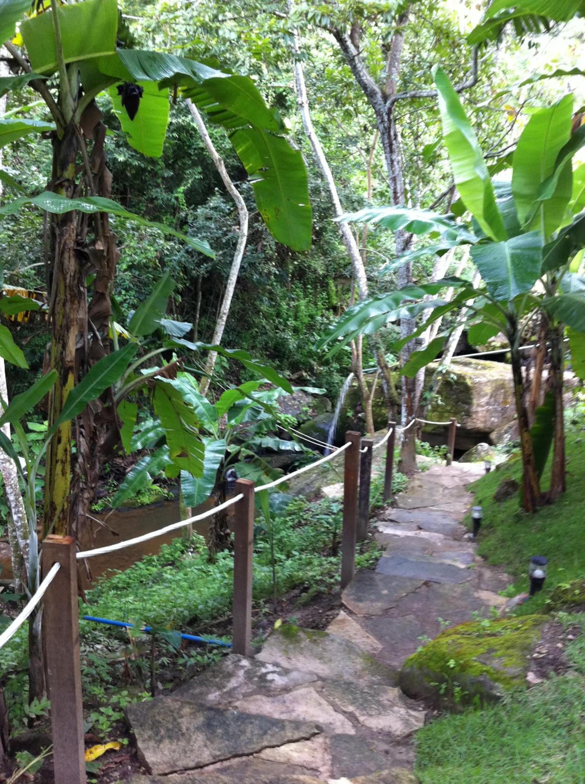 Sitio Alto da Montanha - você em paz com a natureza