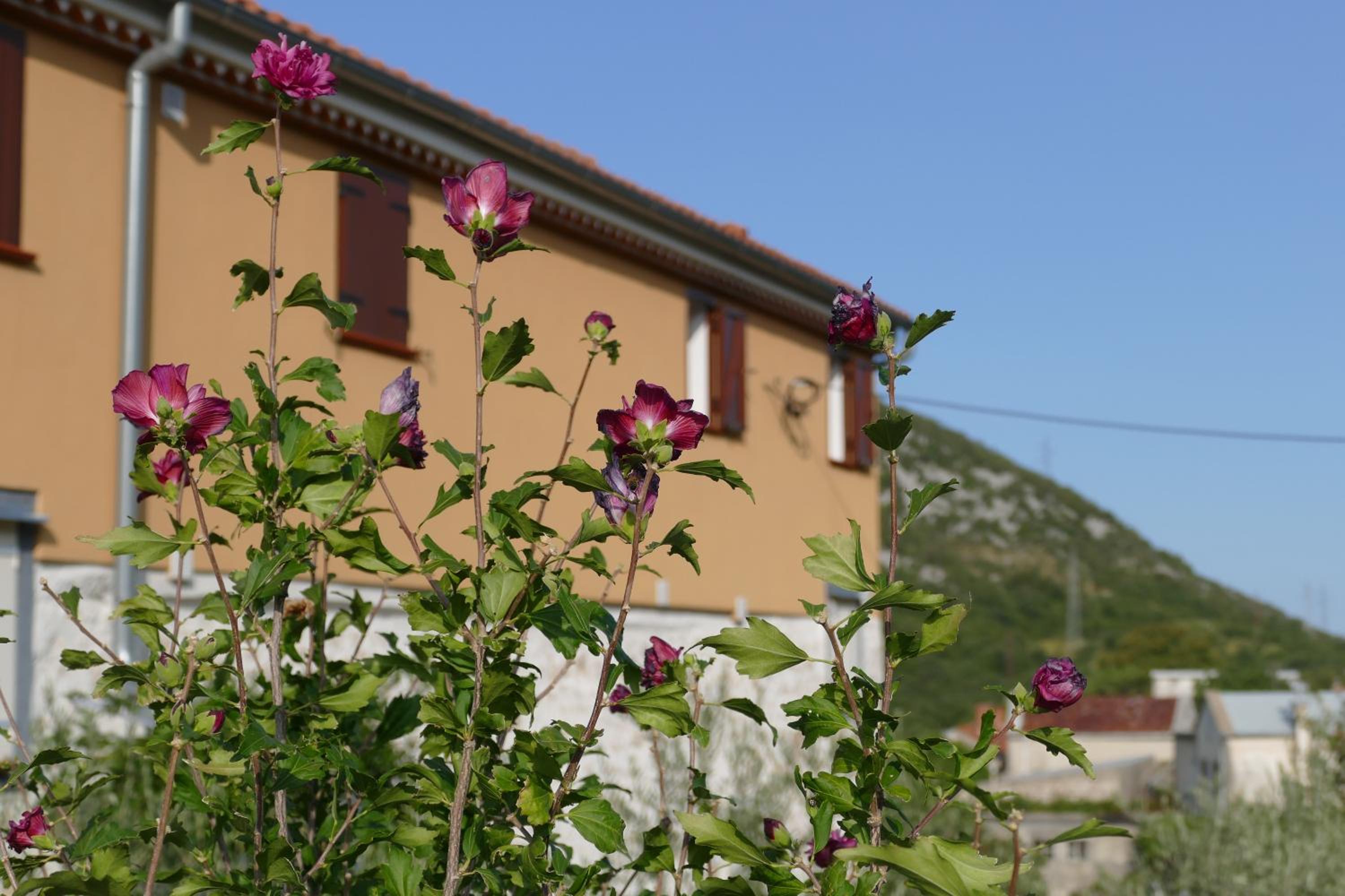 Photo 40