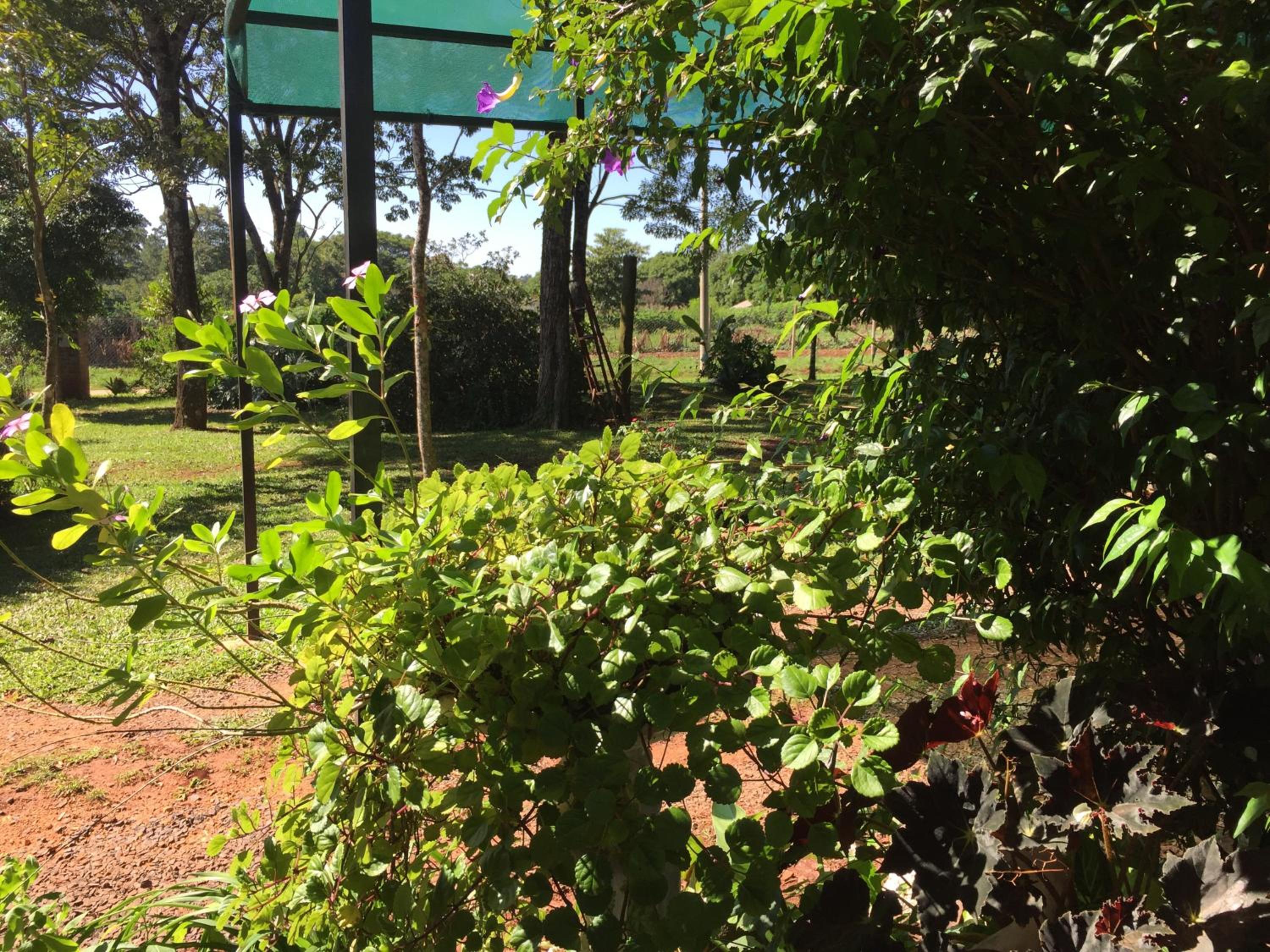Iguazu apart hostel