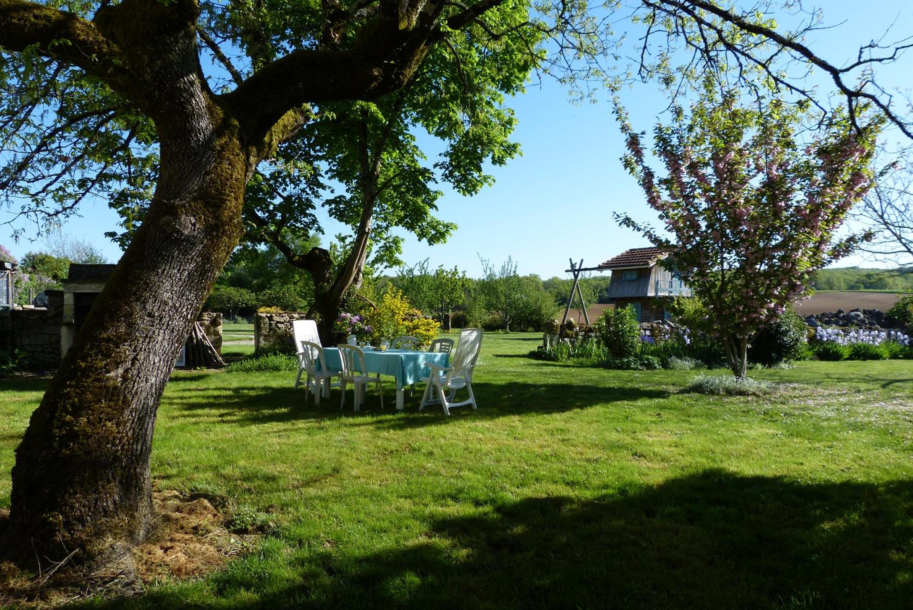 Photo 43