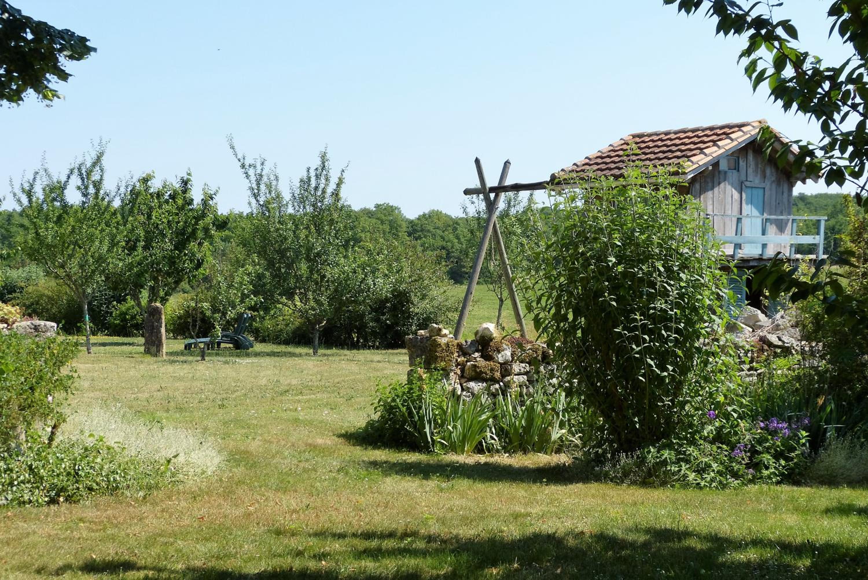 Photo 51