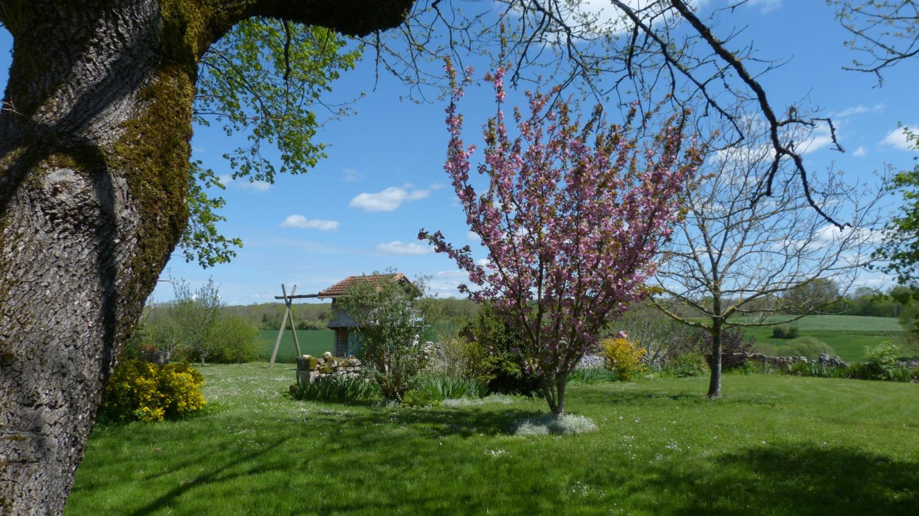 Photo 42