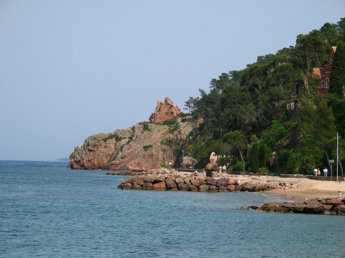 Villa Palm view 4