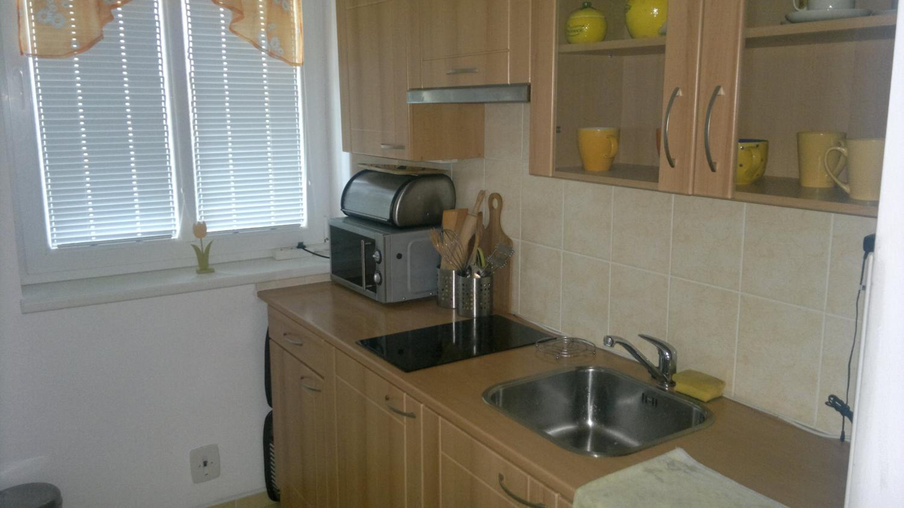 Apartmán Srní view 5