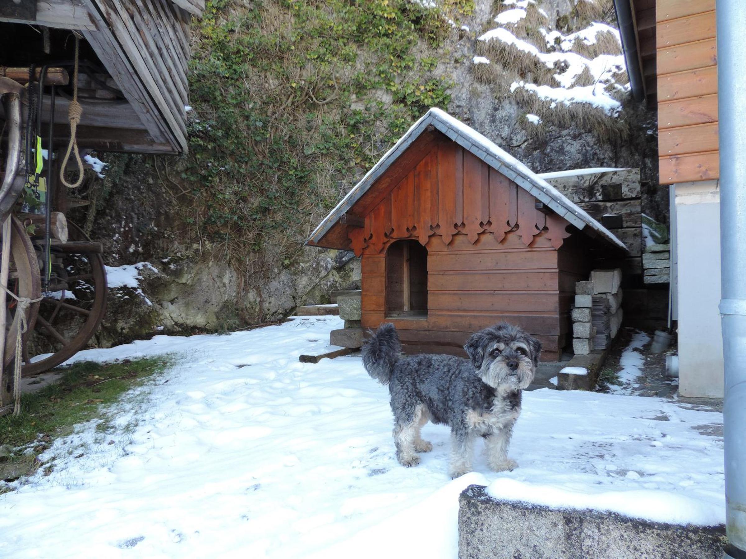 Photo 20