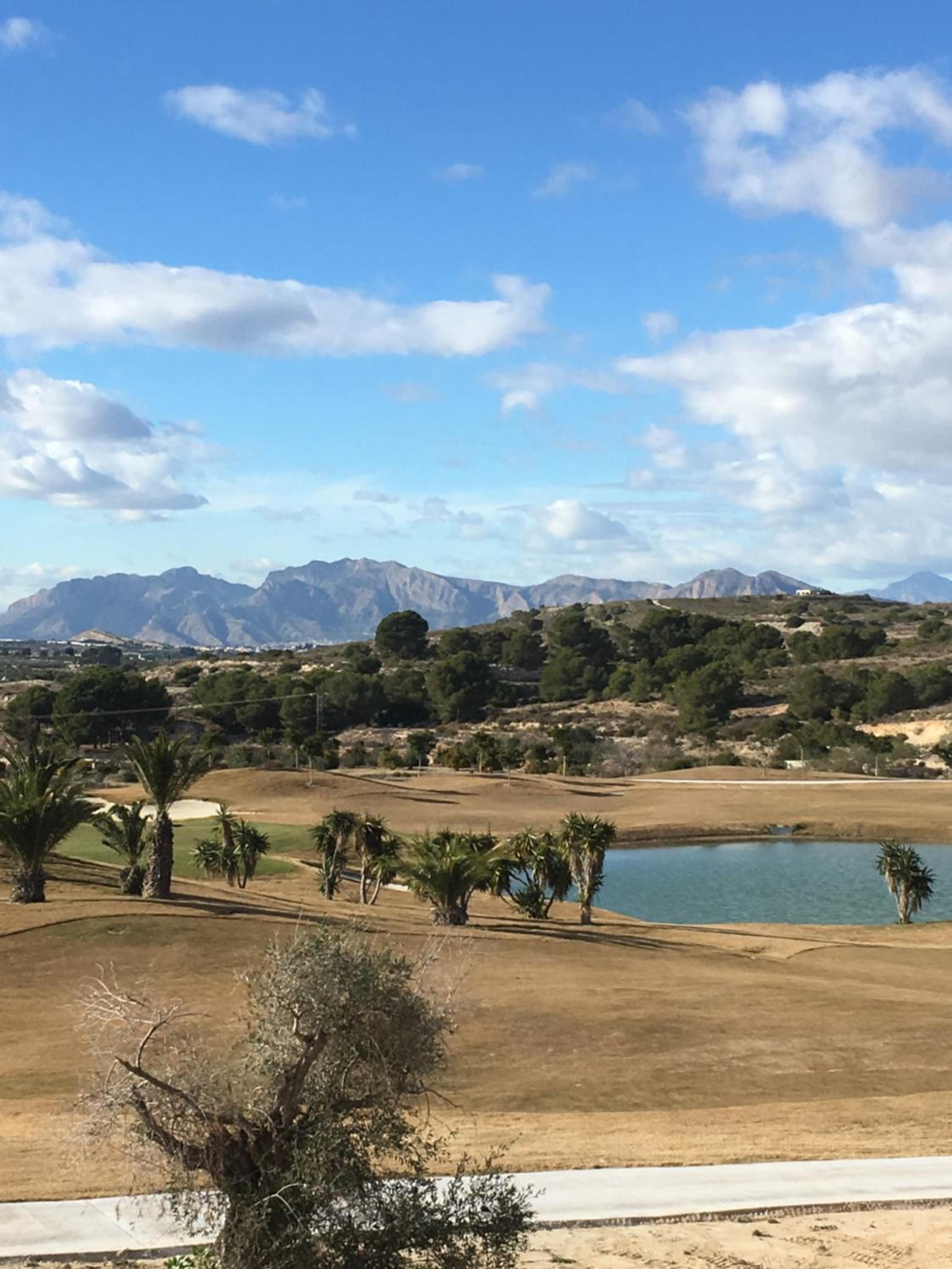 other