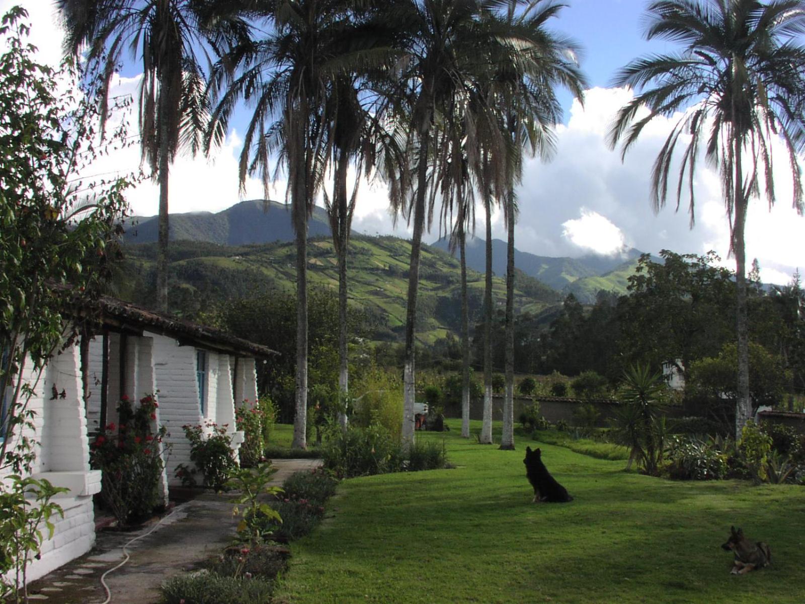 Las Palmeras Inn, photo 31