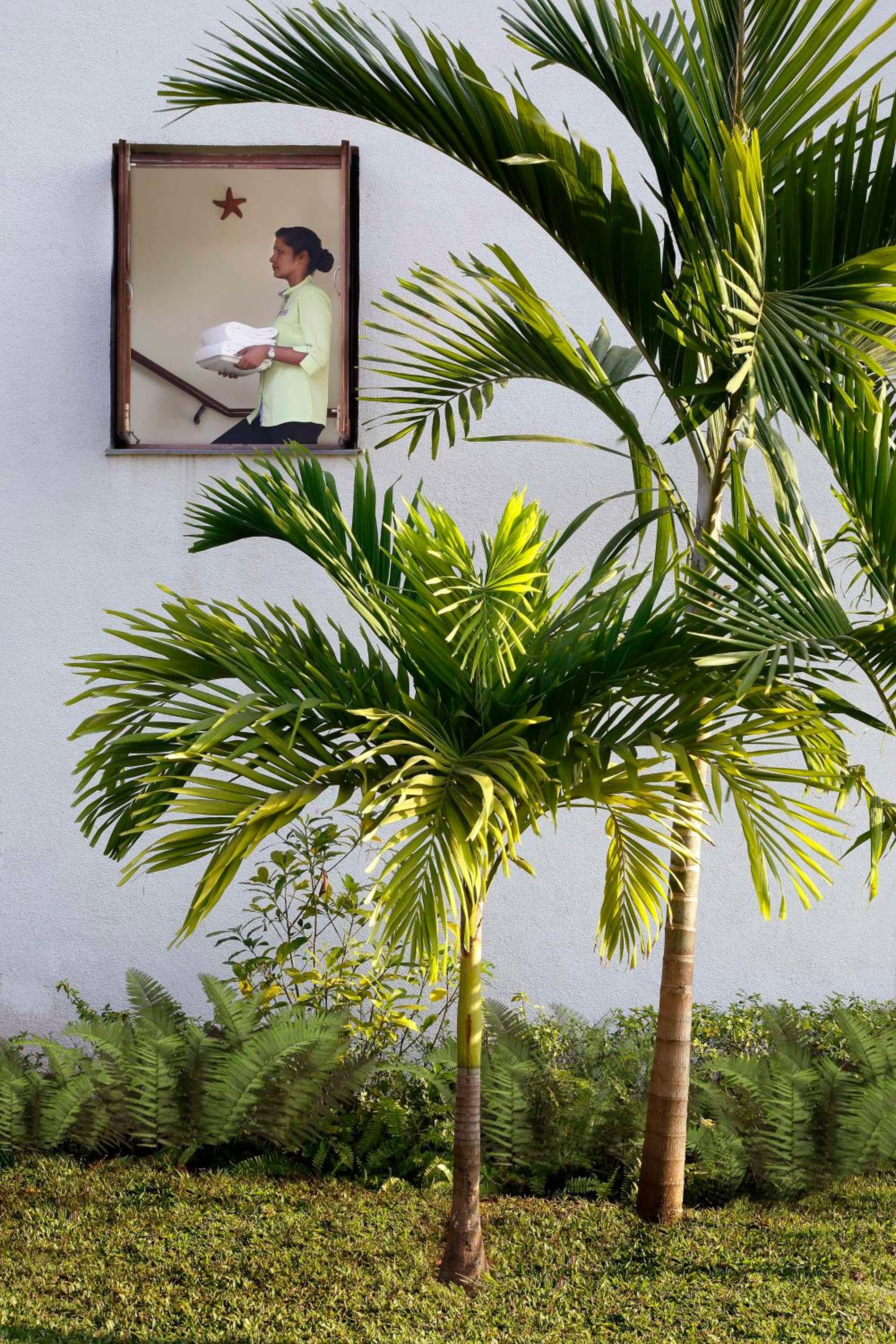 Novotel Goa Dona Sylvia Resort