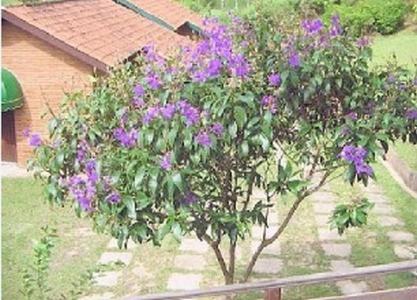 Chalés Pousada Serra Negra