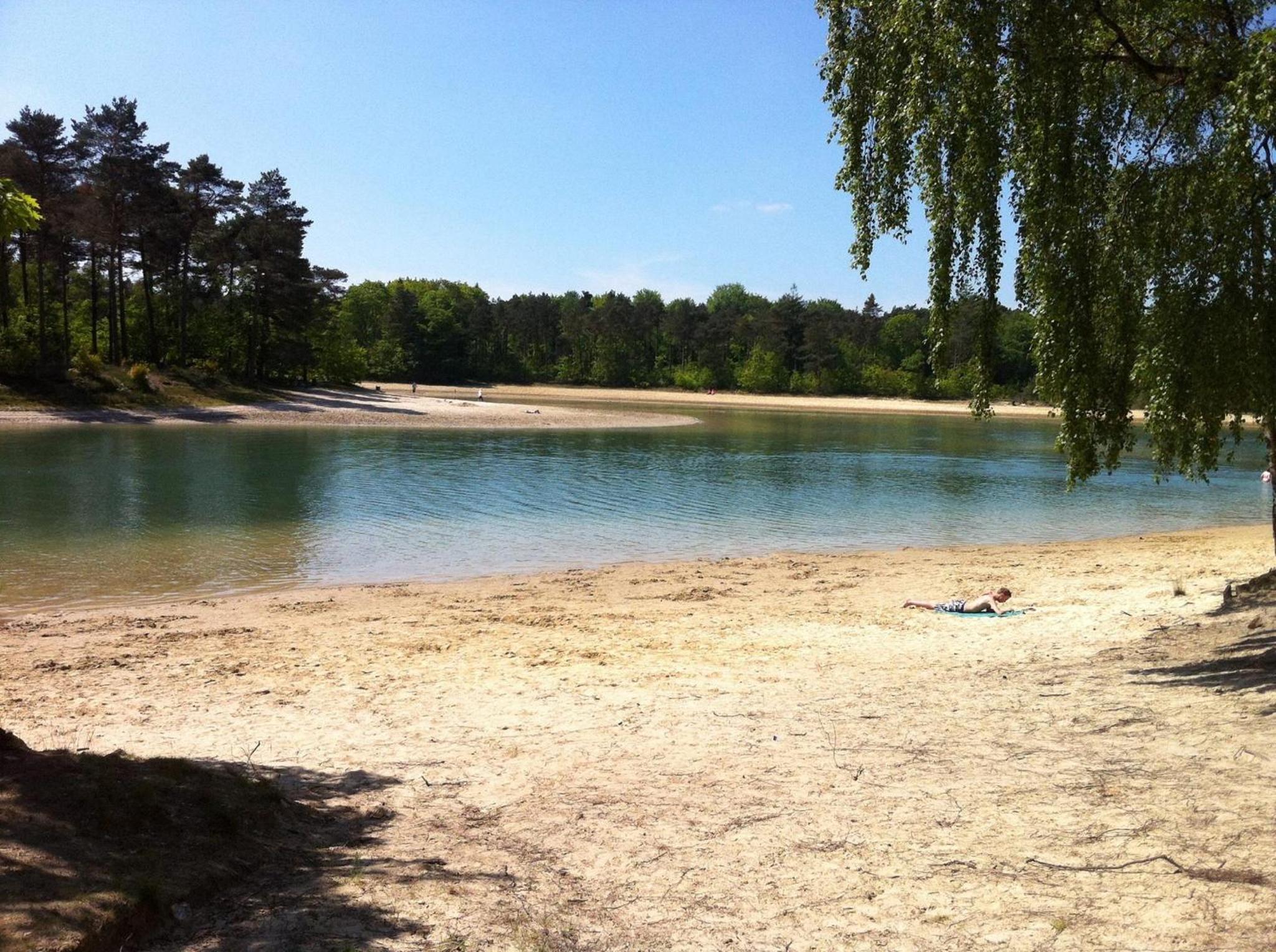 Photo 19