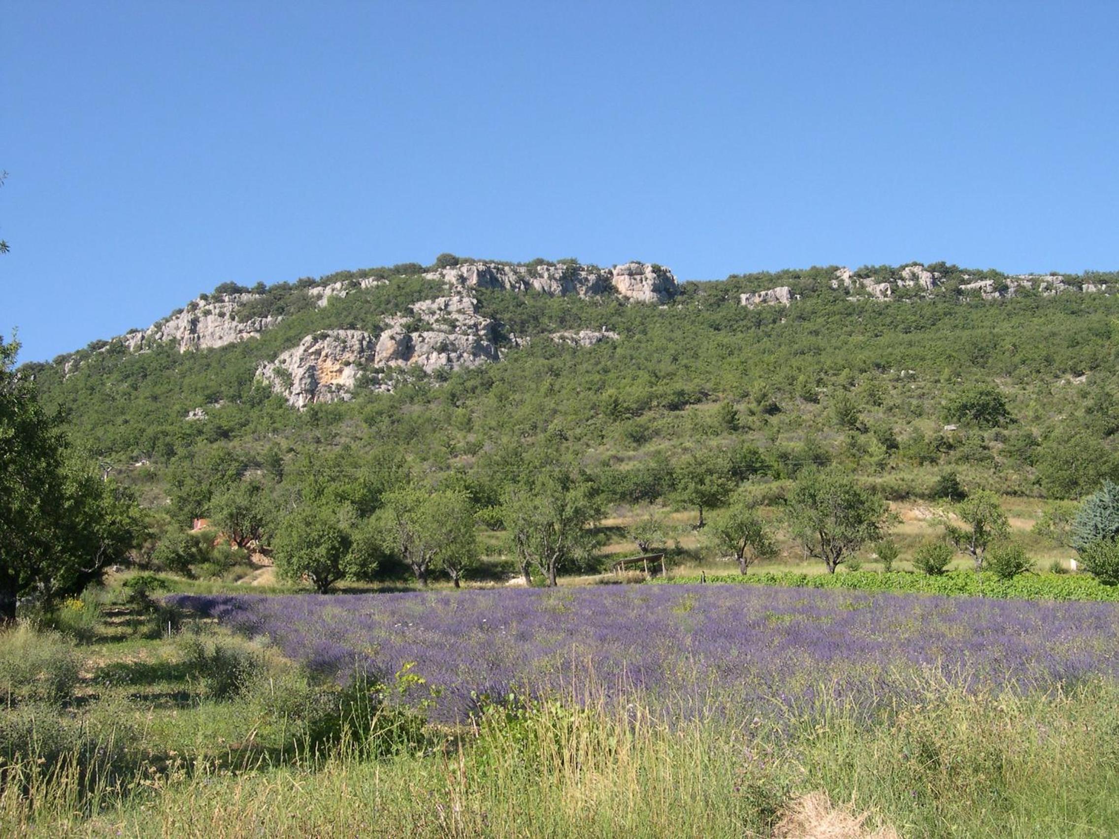 Photo 12
