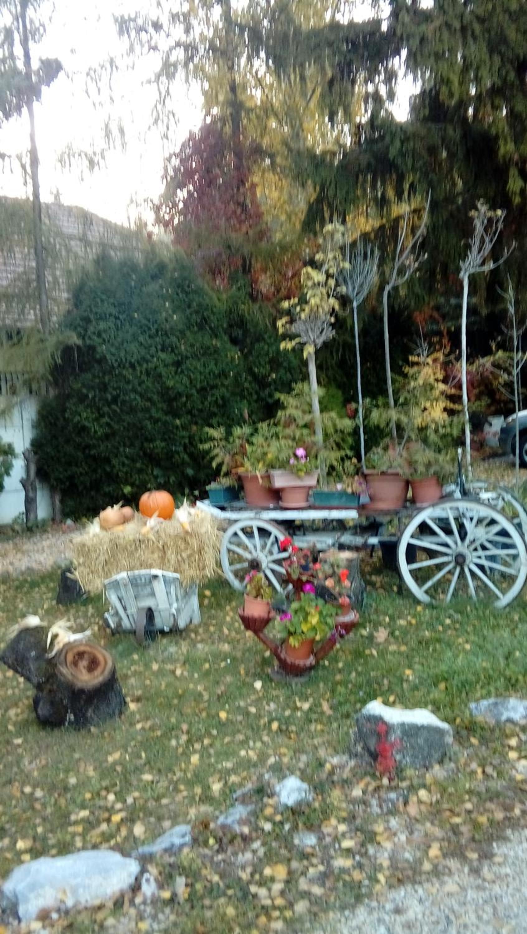Photo 44