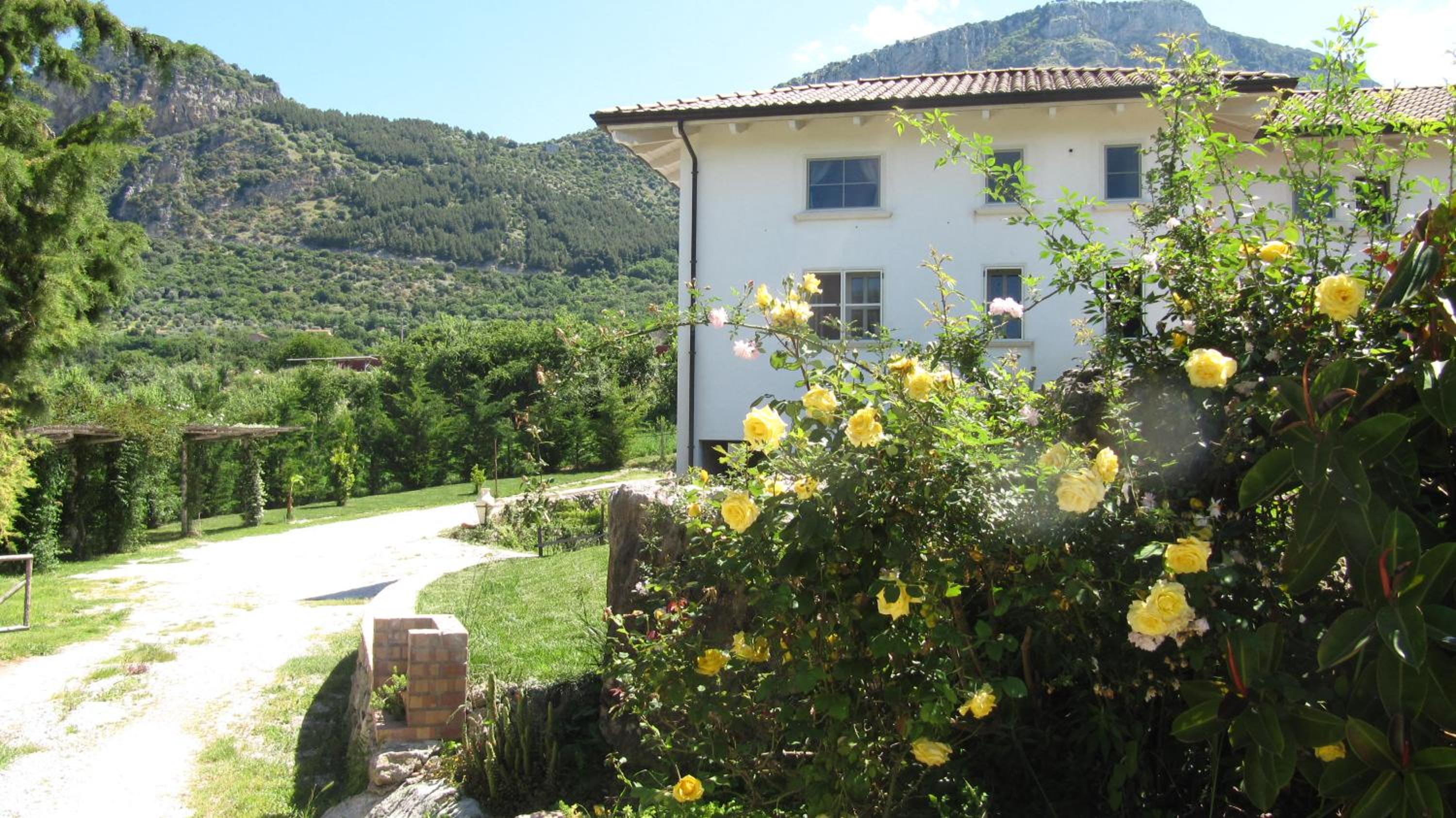 B&B Macchia d'Olmo