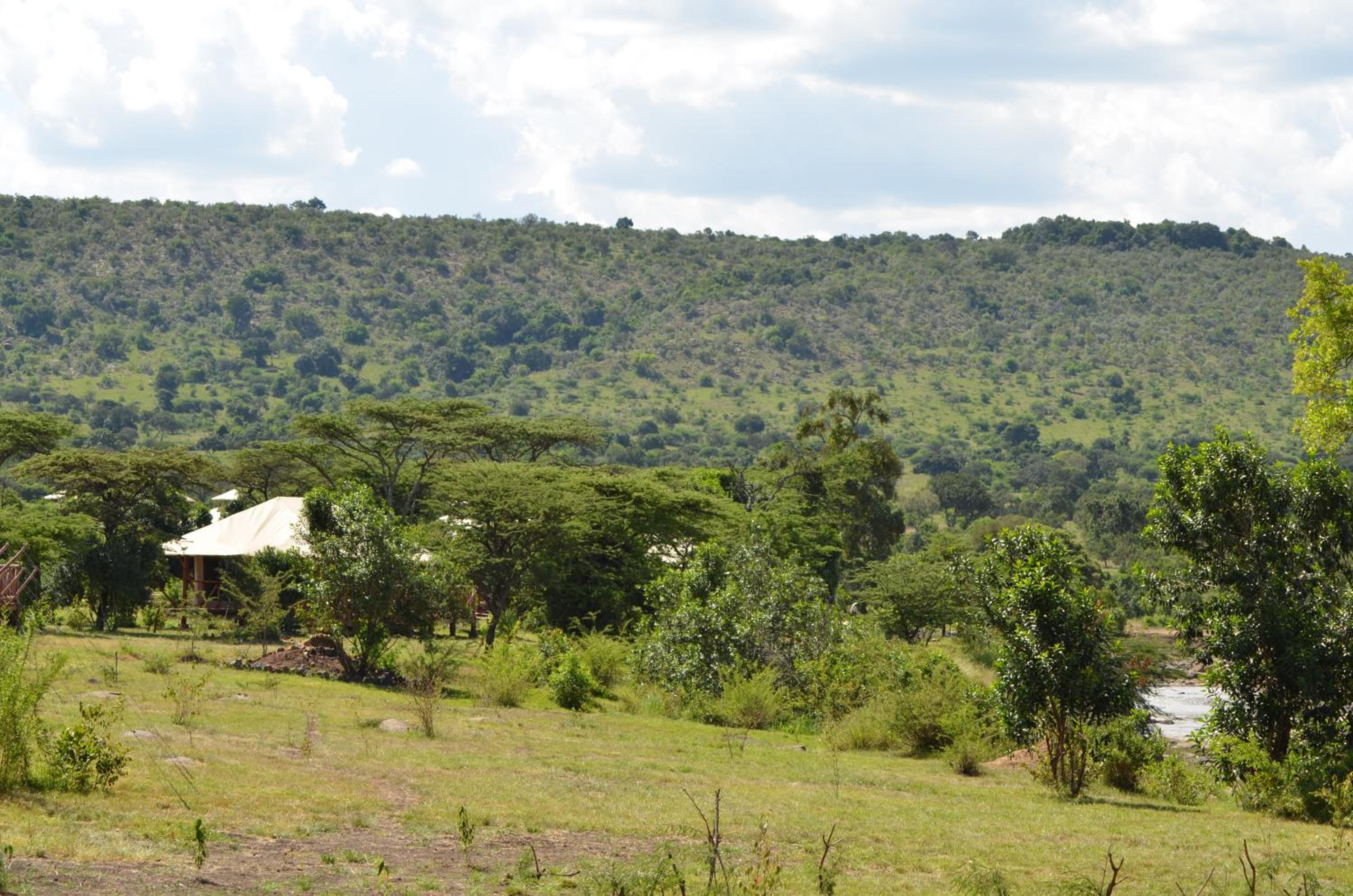 Masai Mara Vacations - Neptune Mara Rianta Luxury Camp - All Inclusive. - Property Image 2