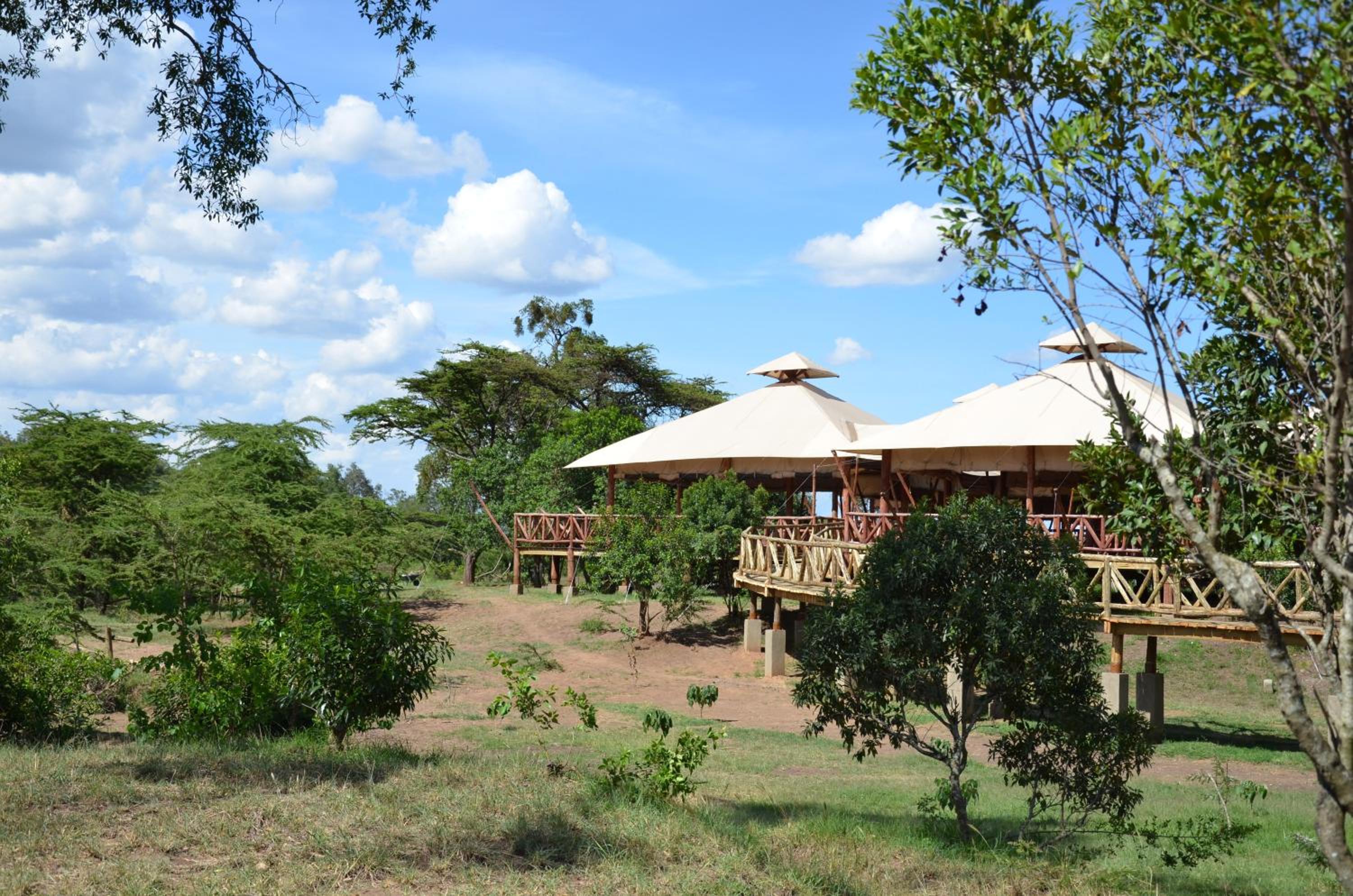 Masai Mara Vacations - Neptune Mara Rianta Luxury Camp - All Inclusive. - Property Image 5